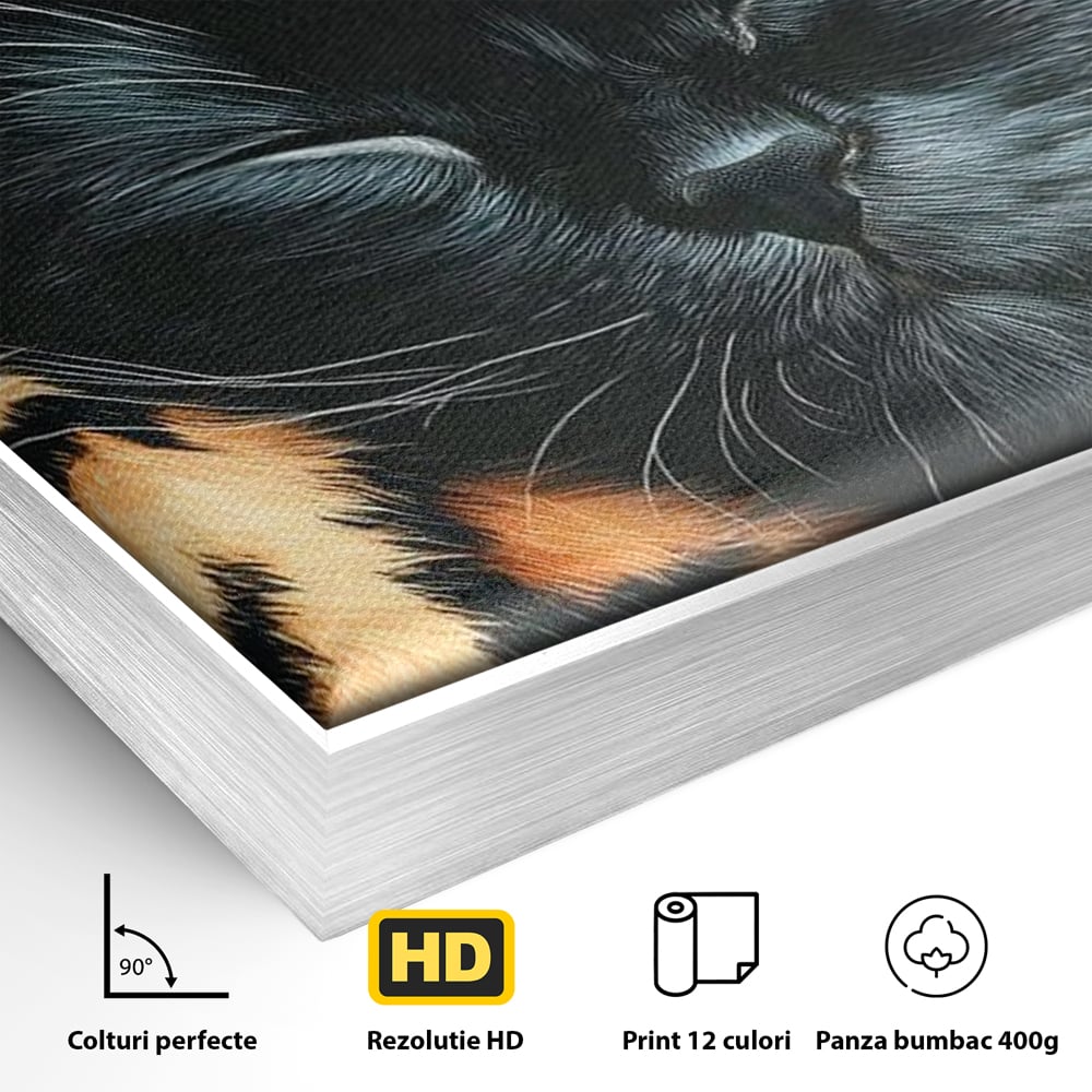 Tablou Canvas Premium, LuxCanva® M1518, Mustati Odihnite, Pisica, Felina, Animal Print, Dragalas, Somn, Vis, Relaxare, Confort, Dormitor, Birou, Living, Camera Copil