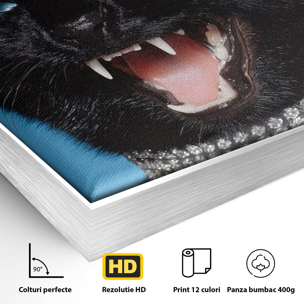 Tablou Canvas Premium, LuxCanva® M1531, Colti de Diamant, Zgarda, Diamante, Bijuterie, Motan, Felina, Animal, Fioros, Dormitor, Birou, Living, Camera Copil
