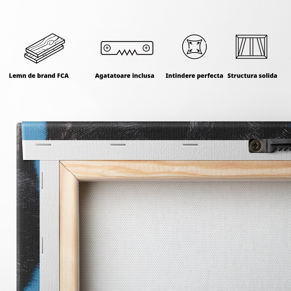 Tablou Canvas Premium, LuxCanva® M1531, Colti de Diamant, Zgarda, Diamante, Bijuterie, Motan, Felina, Animal, Fioros, Dormitor, Birou, Living, Camera Copil