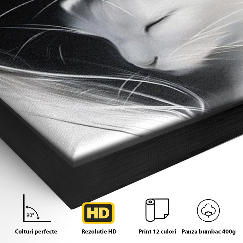 Tablou Canvas Premium, LuxCanva® M1533, Blanda Contopire, Pisici, Animale, Alb si Negru, Pereche, Iubire, Romantic, Dormitor, Birou, Living, Camera Copil
