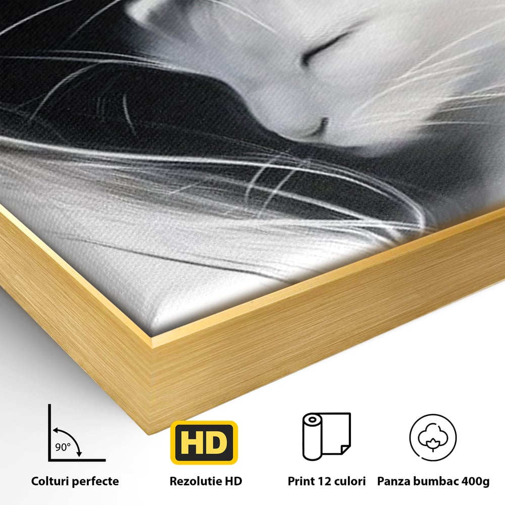 Tablou Canvas Premium, LuxCanva® M1533, Blanda Contopire, Pisici, Animale, Alb si Negru, Pereche, Iubire, Romantic, Dormitor, Birou, Living, Camera Copil