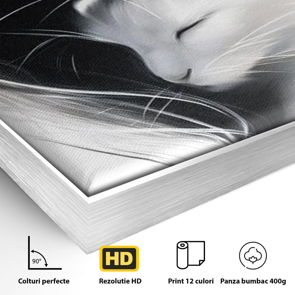 Tablou Canvas Premium, LuxCanva® M1533, Blanda Contopire, Pisici, Animale, Alb si Negru, Pereche, Iubire, Romantic, Dormitor, Birou, Living, Camera Copil