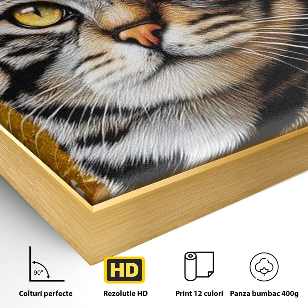 Leinwand Wandkunst Leinwand Wandkunst Premium, LuxCanva® M1535, Edel in Streifen, Katze, Tier, Katze, Elegant, Aristokrat, Schnurrbart, Schnurrbart, Ornamental, Schlafzimmer, Büro, Wohnzimmer, Kinderzimmer