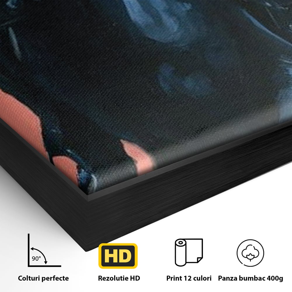 Tablou Canvas Premium, LuxCanva® M1539, Cavalerul Fara Chip, Calaret, Mister, Cal, Armasar, Armura, Epic, Erou, Calatorie, Intunecat, Dormitor, Birou, Living, Camera Copil