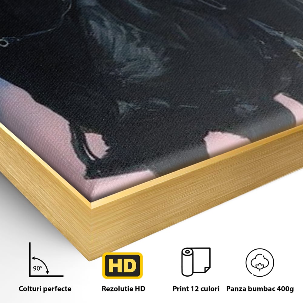 Tablou Canvas Premium, LuxCanva® M1542, Regina Vestului Salbatic, Vintage, Femeie, Costum, Palarie, Cowboy, Armasar, Cal, Animal, Eleganta, Dormitor, Birou, Living, Camera Copil
