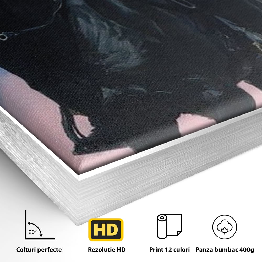 Tablou Canvas Premium, LuxCanva® M1542, Regina Vestului Salbatic, Vintage, Femeie, Costum, Palarie, Cowboy, Armasar, Cal, Animal, Eleganta, Dormitor, Birou, Living, Camera Copil