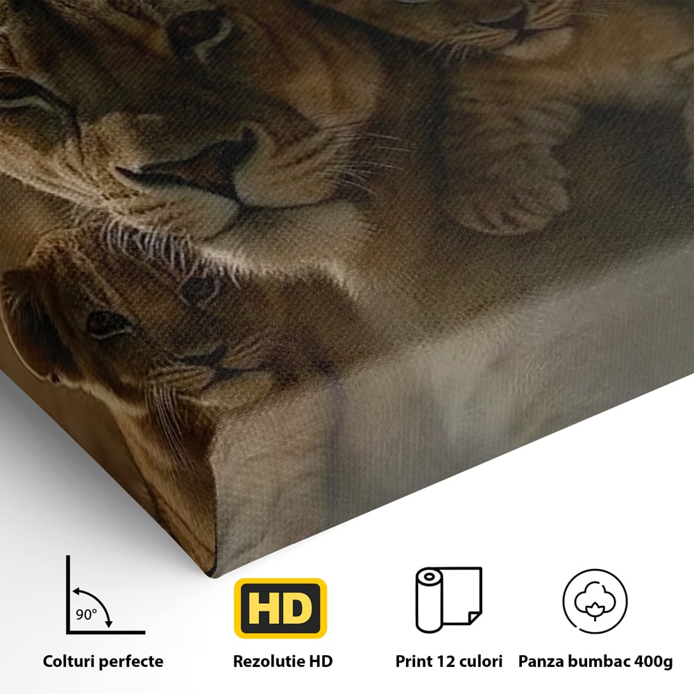 Leinwandbilder Premium, LuxCanva® M1547, Schatz des Königs, Savanne, Exotisch, König des Dschungels, Königreich, Macht, Löwen, Familie, Natur, Schlafzimmer, Büro, Wohnen