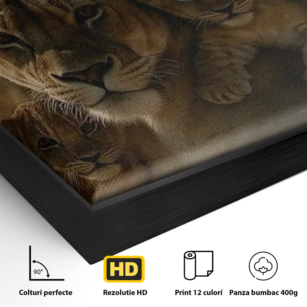 Leinwandbilder Premium, LuxCanva® M1547, Schatz des Königs, Savanne, Exotisch, König des Dschungels, Königreich, Macht, Löwen, Familie, Natur, Schlafzimmer, Büro, Wohnen