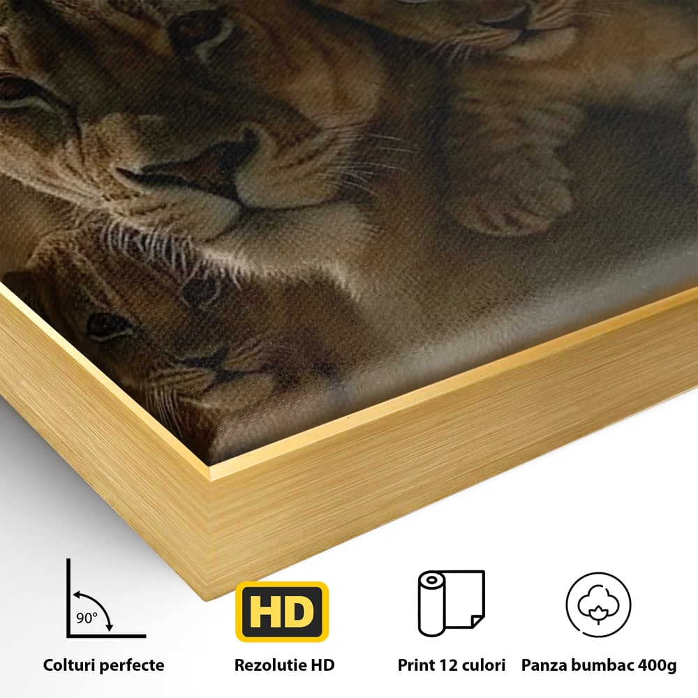 Leinwandbilder Premium, LuxCanva® M1547, Schatz des Königs, Savanne, Exotisch, König des Dschungels, Königreich, Macht, Löwen, Familie, Natur, Schlafzimmer, Büro, Wohnen