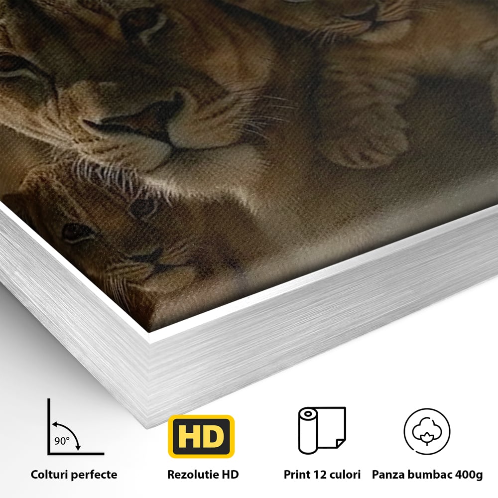 Leinwandbilder Premium, LuxCanva® M1547, Schatz des Königs, Savanne, Exotisch, König des Dschungels, Königreich, Macht, Löwen, Familie, Natur, Schlafzimmer, Büro, Wohnen