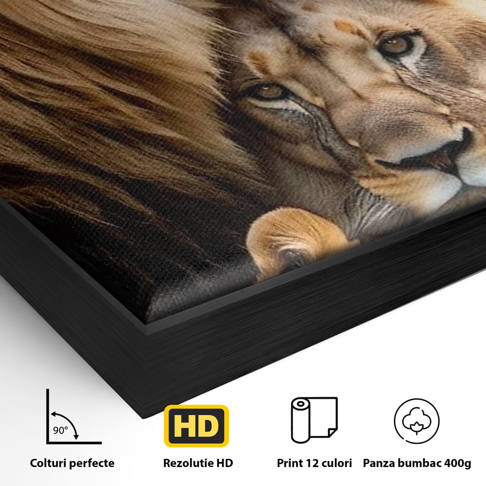 Leinwand Wandkunst Canvas Wandkunst Premium, LuxCanva® M1548, Bindung, Liebe, Familie, Huhn, Löwen, Schutz, Bindung, Tiere, König des Dschungels, Schlafzimmer, Büro, Wohnzimmer