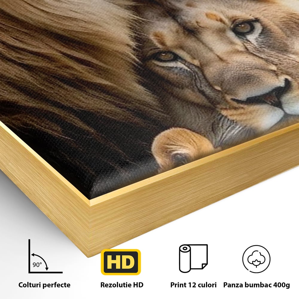 Leinwand Wandkunst Canvas Wandkunst Premium, LuxCanva® M1548, Bindung, Liebe, Familie, Huhn, Löwen, Schutz, Bindung, Tiere, König des Dschungels, Schlafzimmer, Büro, Wohnzimmer