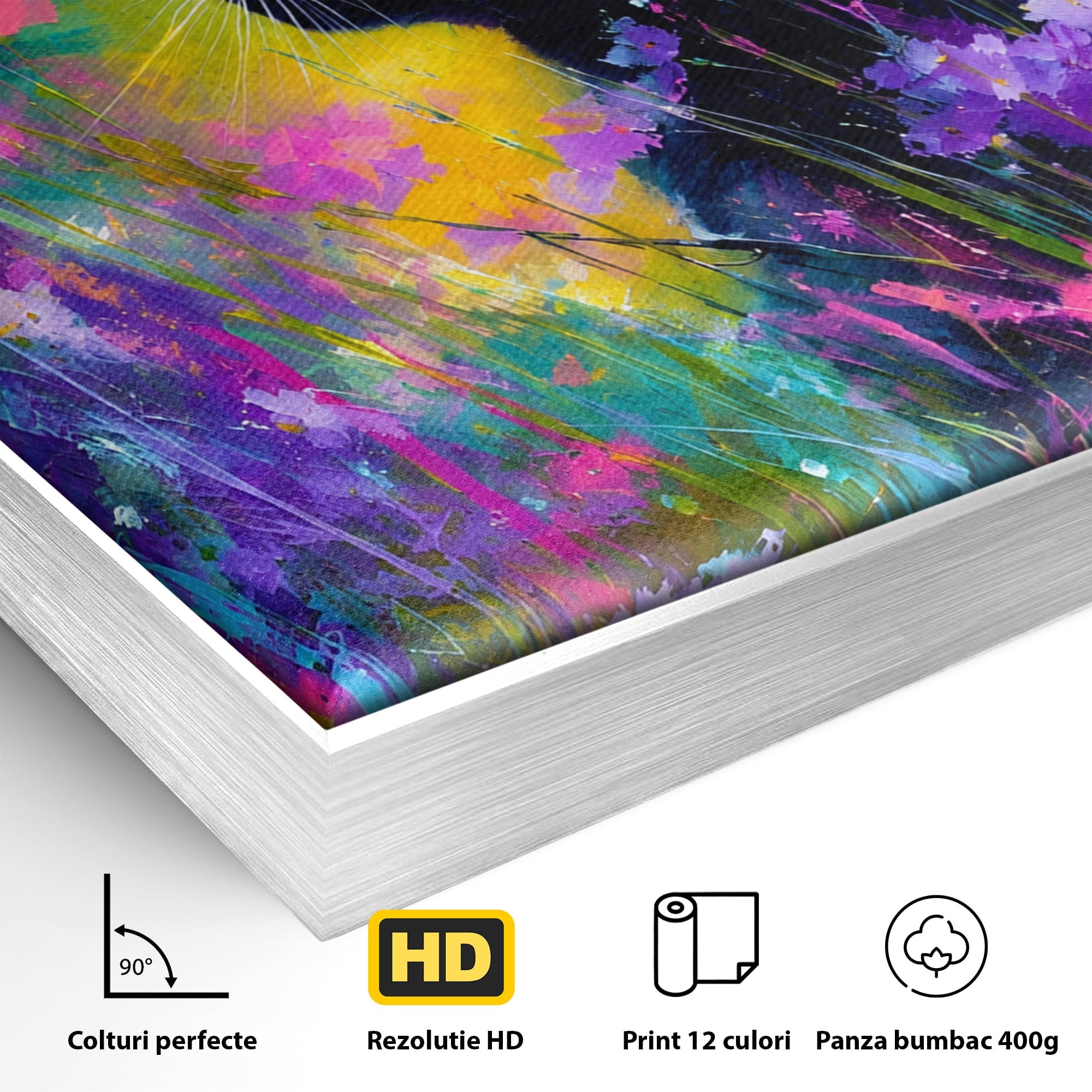 Tablou Canvas Premium LuxCanva® M1550, Pisica In Campul De Flori, Pisica, Flori, Natura, Vibrant, Living, Culori Vibrante