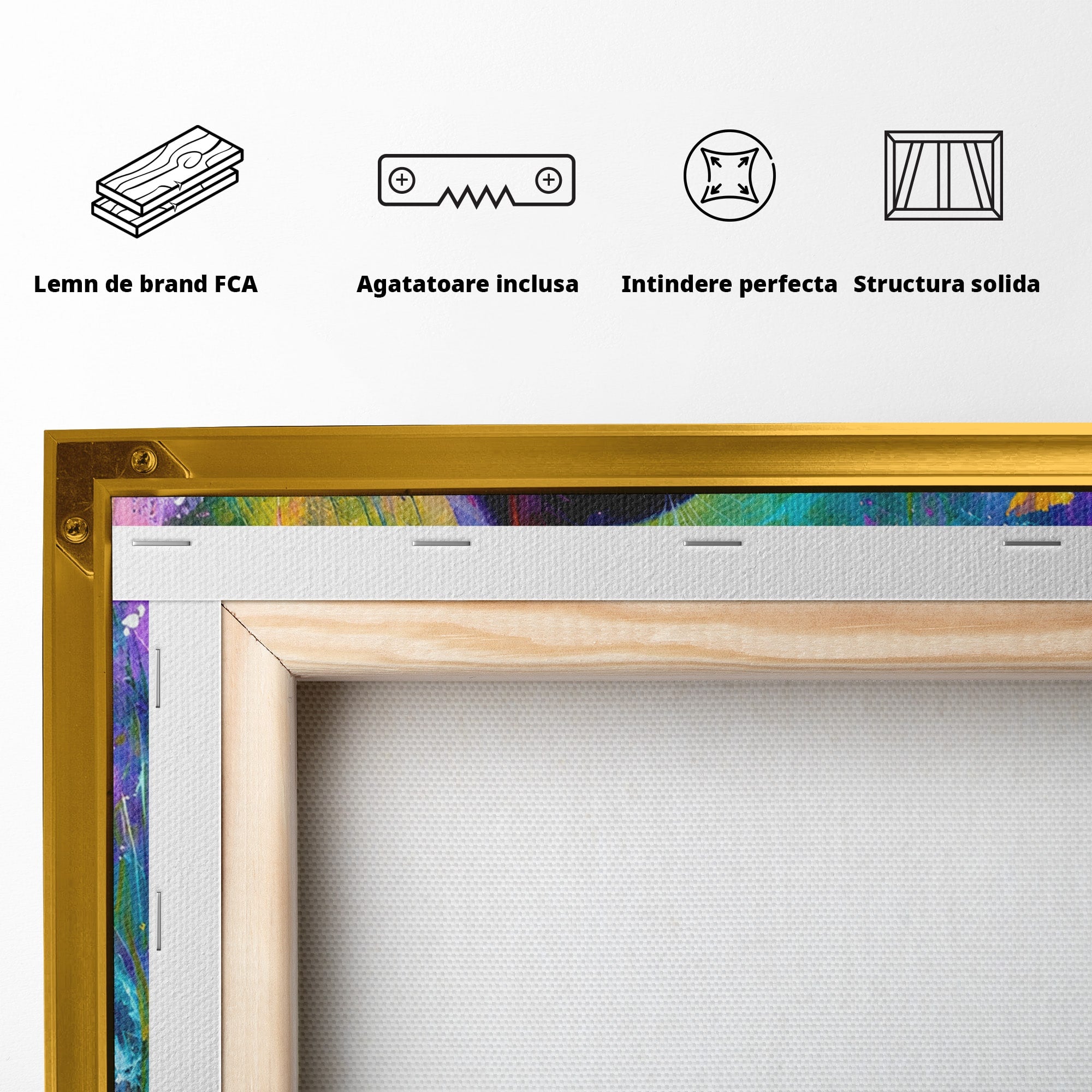 Tablou Canvas Premium LuxCanva® M1550, Pisica In Campul De Flori, Pisica, Flori, Natura, Vibrant, Living, Culori Vibrante