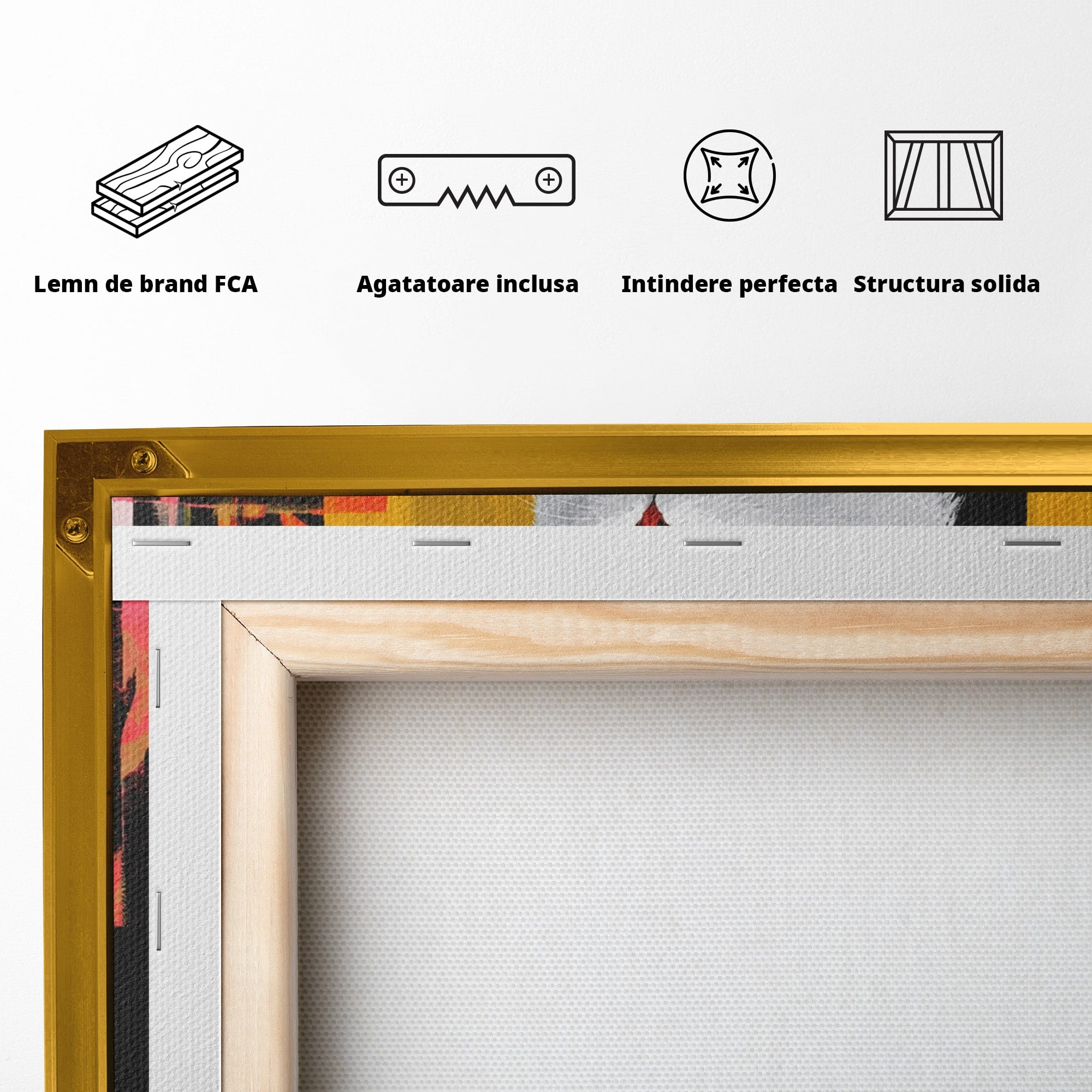 Tablou Canvas Premium LuxCanva® M1557, Grație în Alb, Pisica, Animale, Living, Arta Moderna, Culori Contrastante, Culori Vibrante