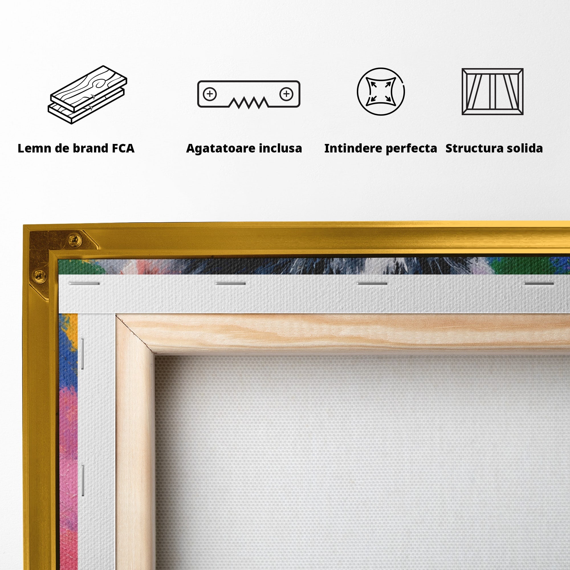 Tablou Canvas Premium LuxCanva® M1561, Pisica In Culori, Pisica, Portret, Animale, Living, Dormitor, Culori Vibrante