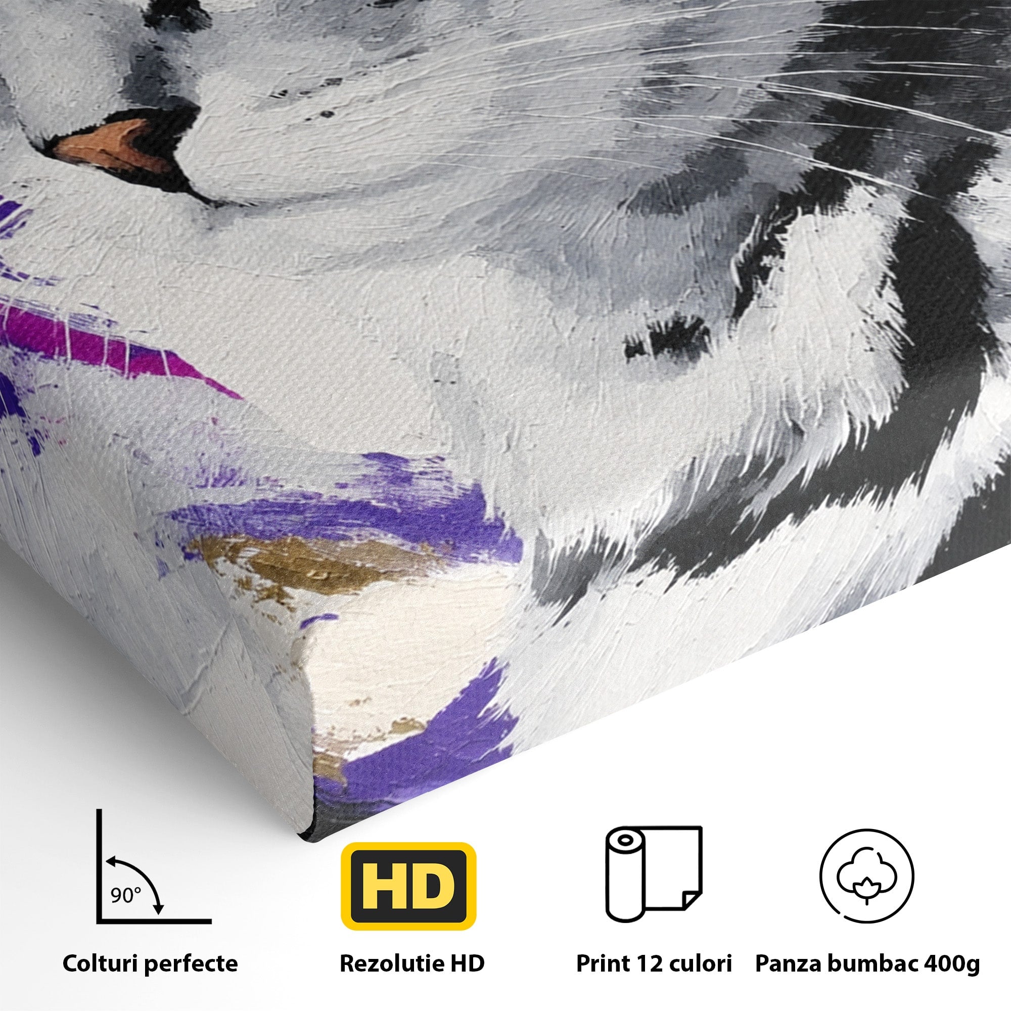Tablou Canvas Premium LuxCanva® M1562, Pisica Eleganta, Pisica, Animale, Portret, Dormitor, Living, Culori Vibrante