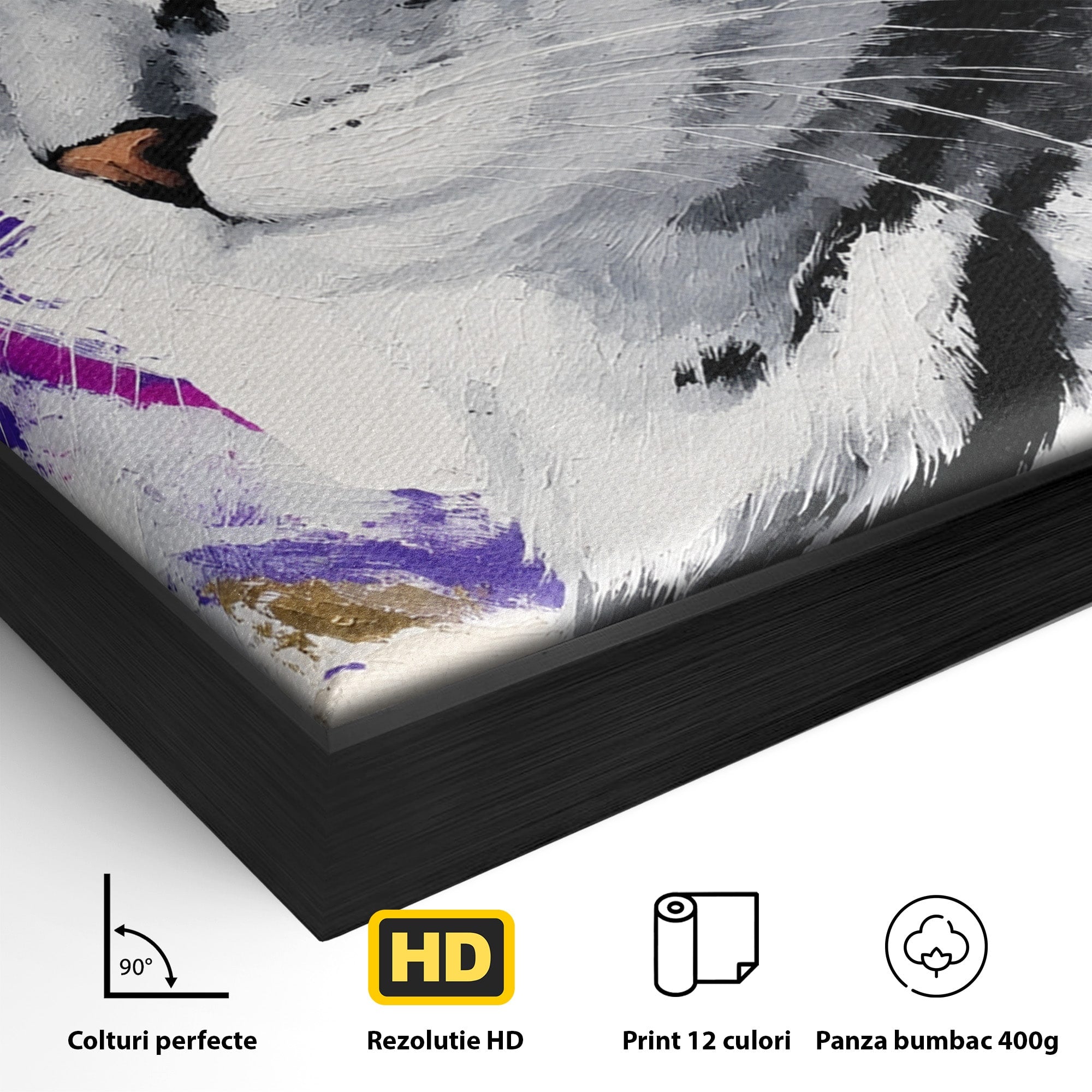 Tablou Canvas Premium LuxCanva® M1562, Pisica Eleganta, Pisica, Animale, Portret, Dormitor, Living, Culori Vibrante