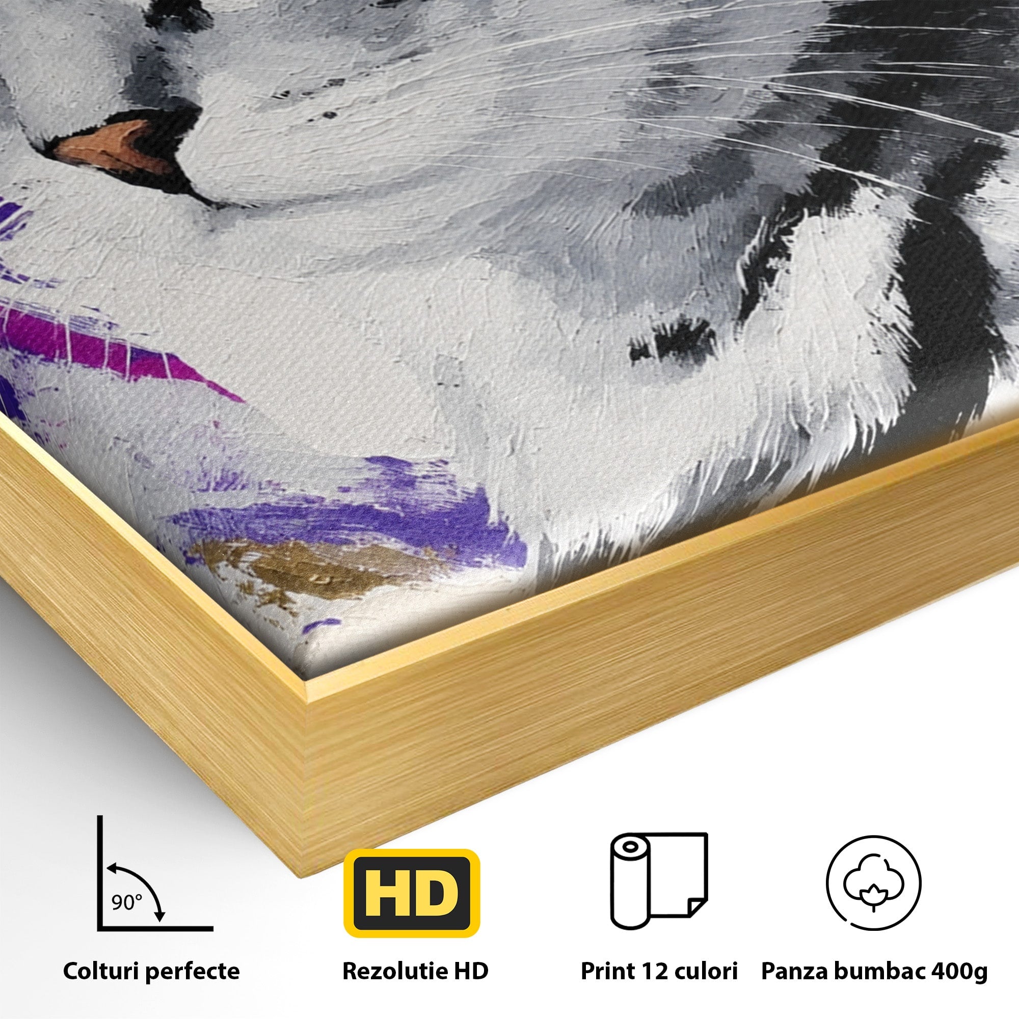 Tablou Canvas Premium LuxCanva® M1562, Pisica Eleganta, Pisica, Animale, Portret, Dormitor, Living, Culori Vibrante