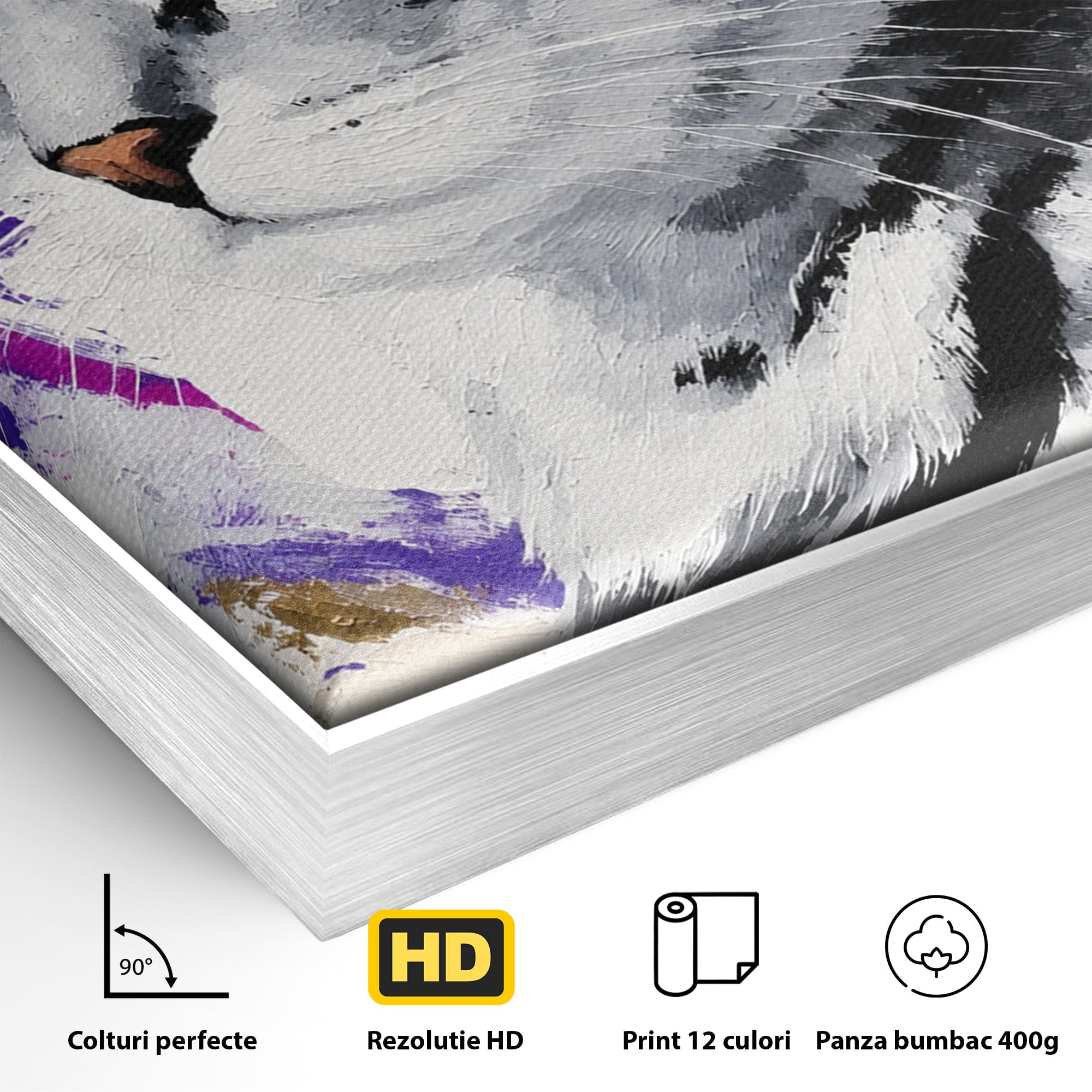 Tablou Canvas Premium LuxCanva® M1562, Pisica Eleganta, Pisica, Animale, Portret, Dormitor, Living, Culori Vibrante