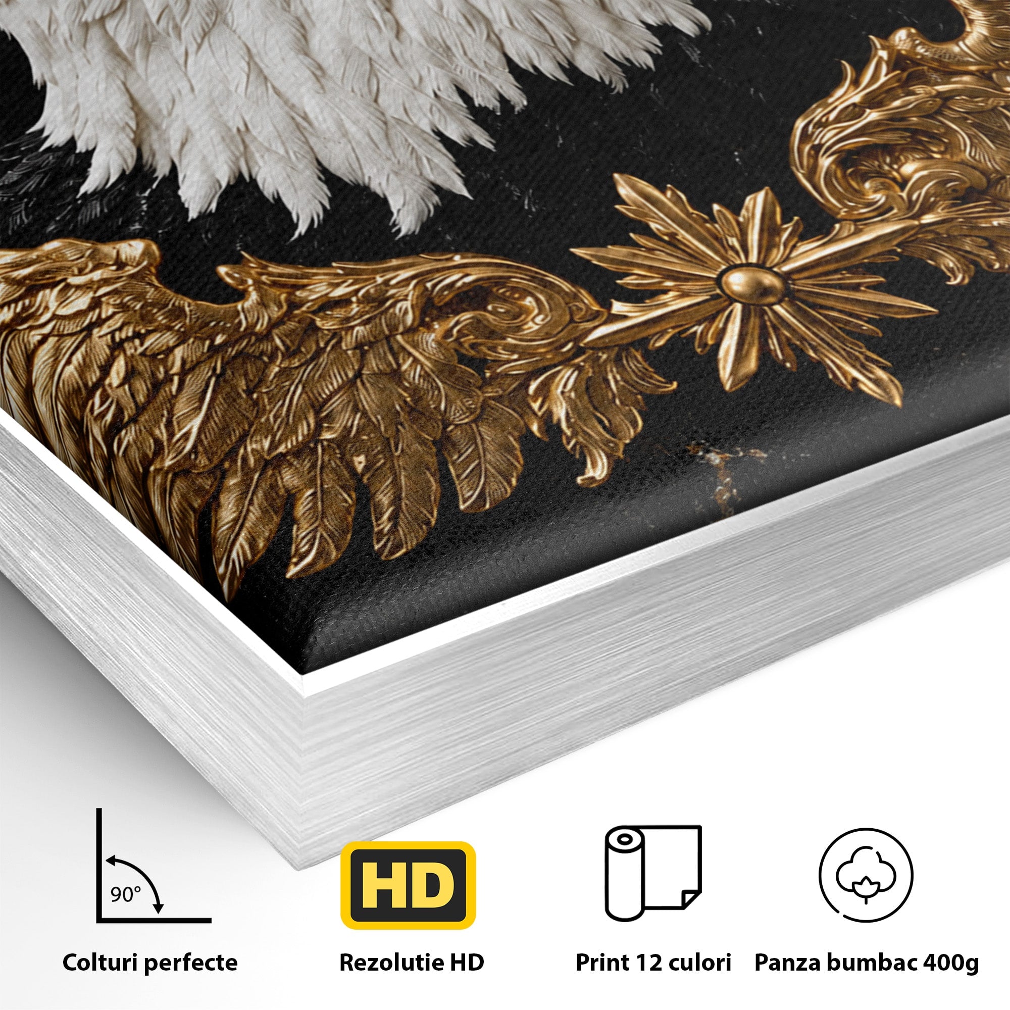 Tablou Canvas Premium LuxCanva® M1567, Vultur Regal, Vultur, Aripi, Animale, Putere, Birou, Culori Vibrante