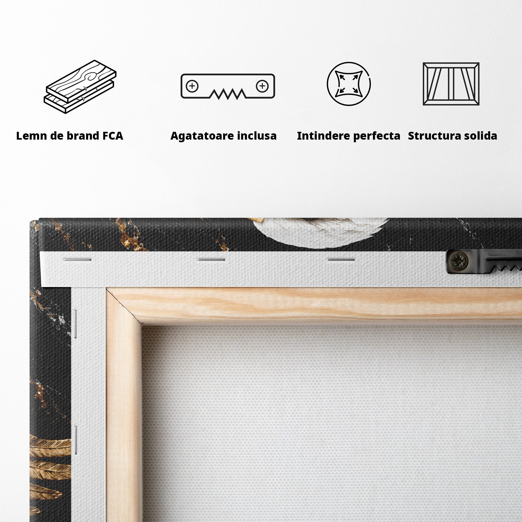 Tablou Canvas Premium LuxCanva® M1567, Vultur Regal, Vultur, Aripi, Animale, Putere, Birou, Culori Vibrante