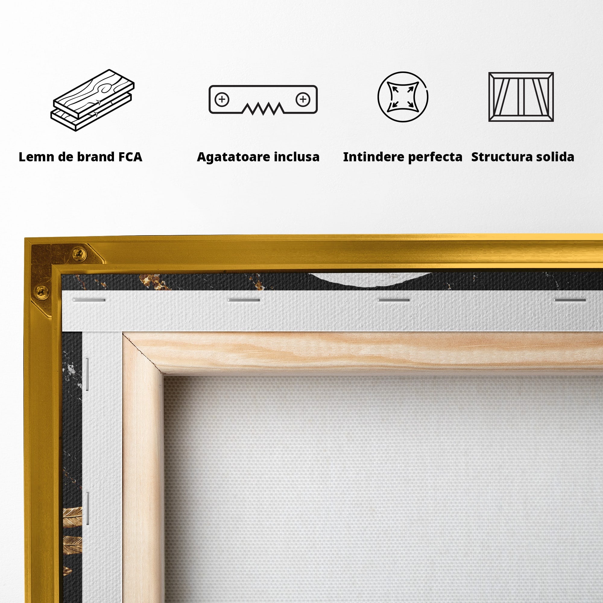 Tablou Canvas Premium LuxCanva® M1567, Vultur Regal, Vultur, Aripi, Animale, Putere, Birou, Culori Vibrante