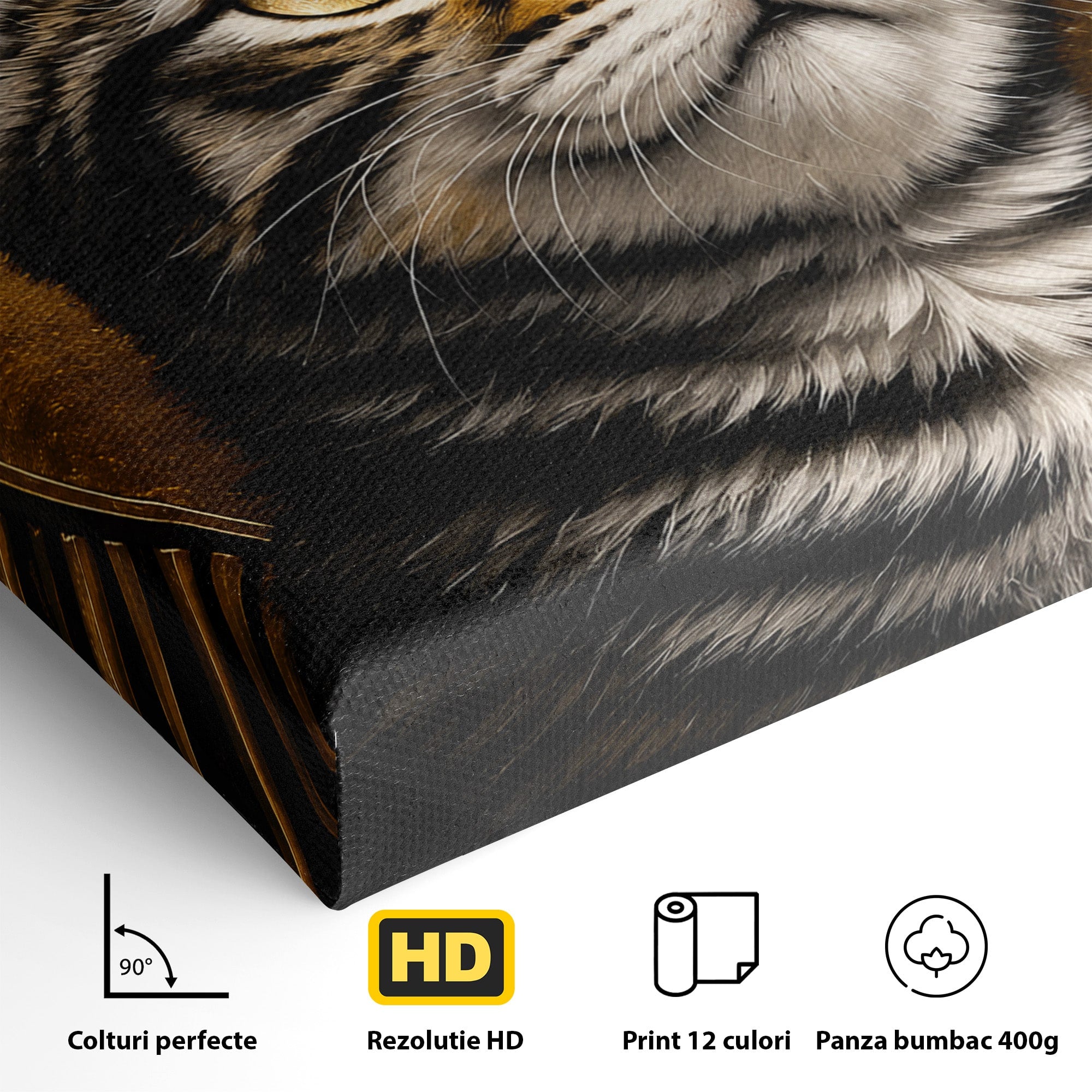 Tablou Canvas Premium LuxCanva® M1570, Micul Rege, Pisica, Animale, Portret, Eleganta, Living, Culori Vibrante