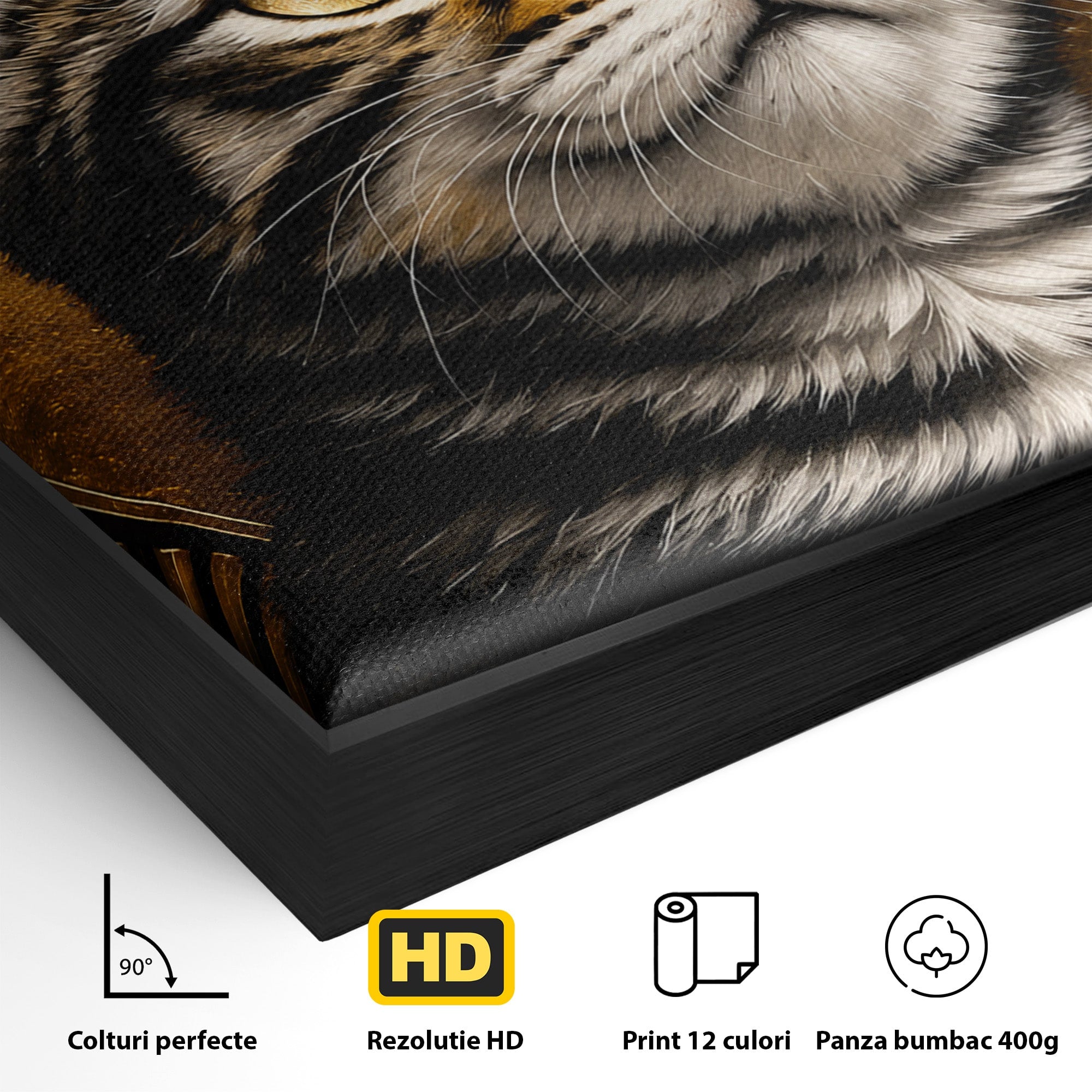 Tablou Canvas Premium LuxCanva® M1570, Micul Rege, Pisica, Animale, Portret, Eleganta, Living, Culori Vibrante