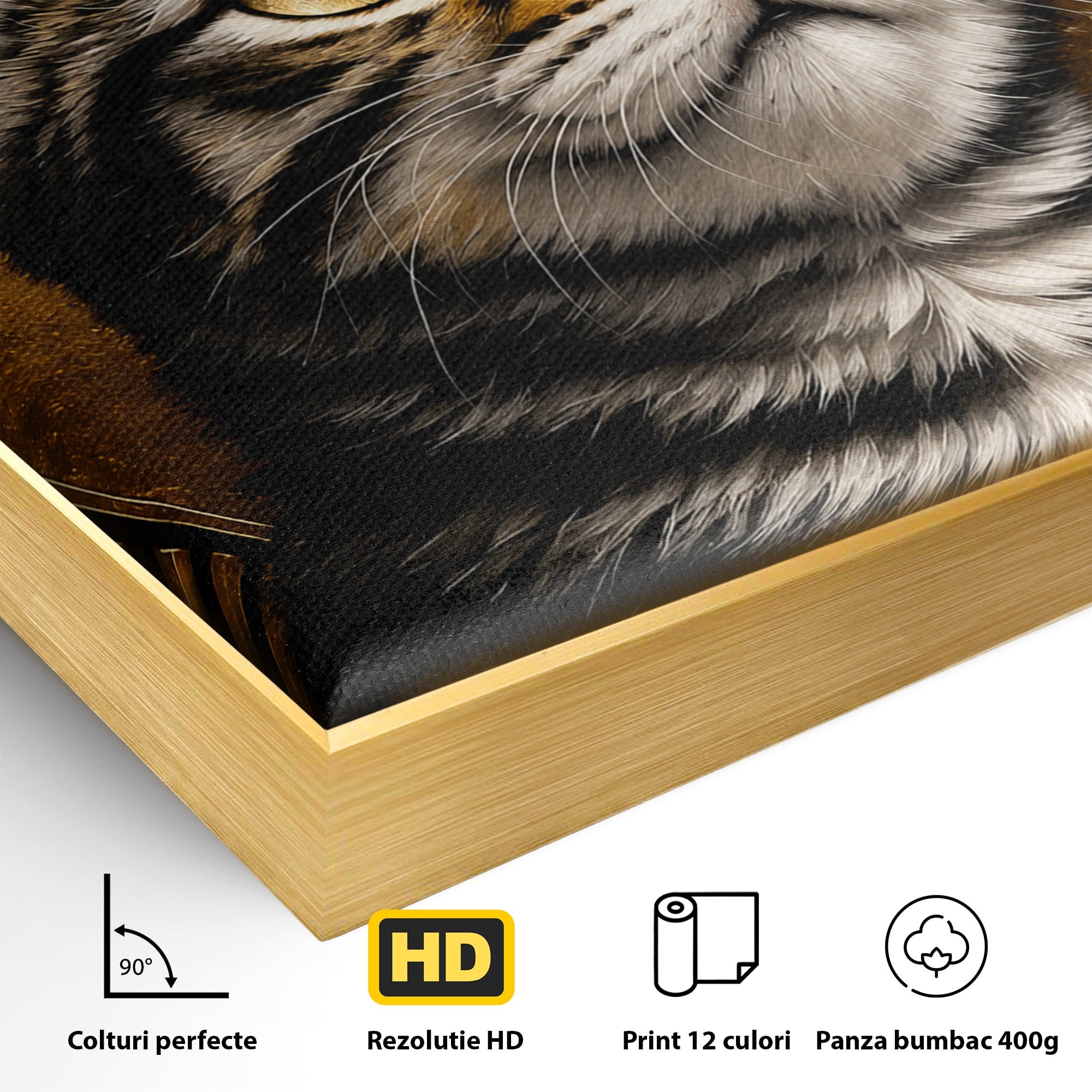 Tablou Canvas Premium LuxCanva® M1570, Micul Rege, Pisica, Animale, Portret, Eleganta, Living, Culori Vibrante
