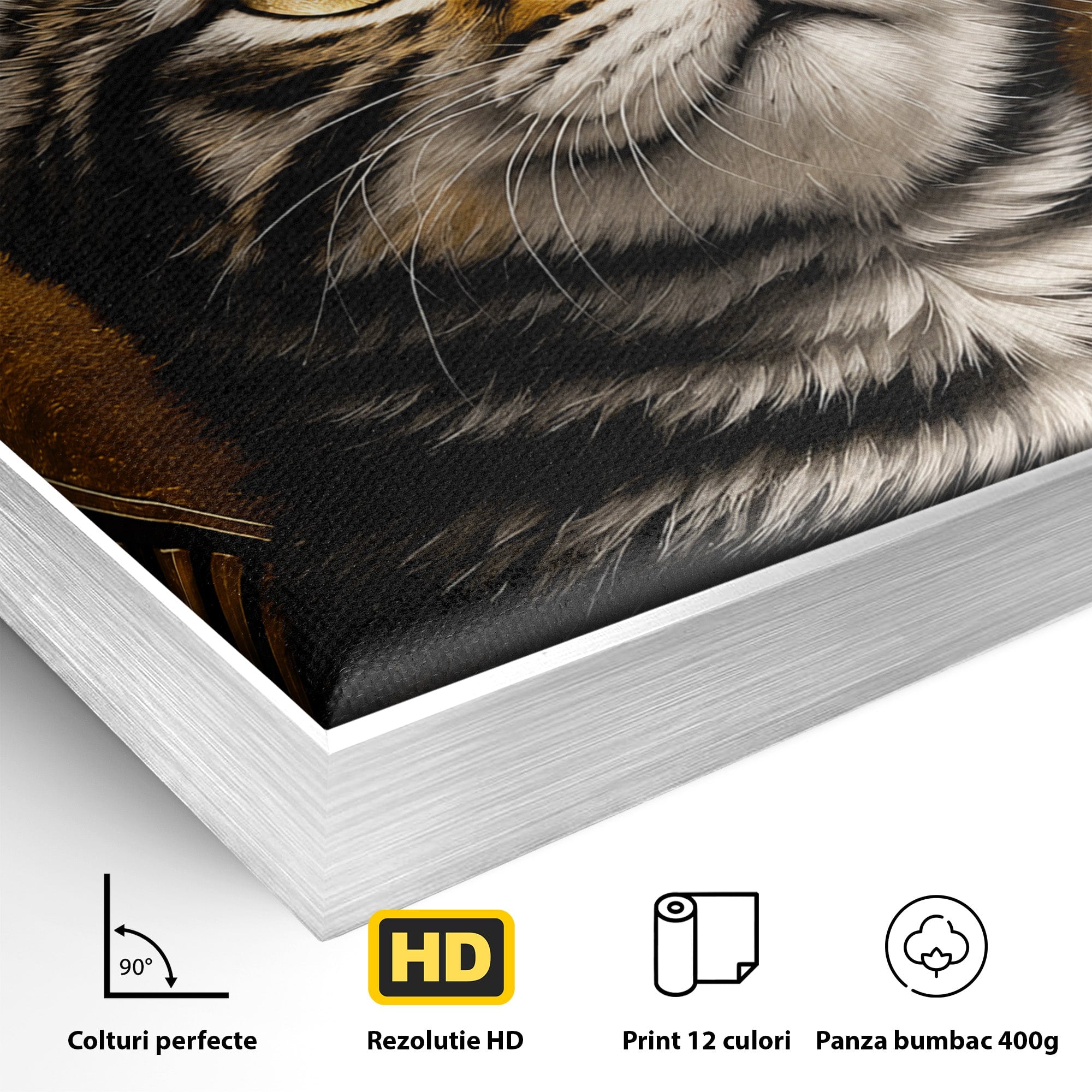 Tablou Canvas Premium LuxCanva® M1570, Micul Rege, Pisica, Animale, Portret, Eleganta, Living, Culori Vibrante