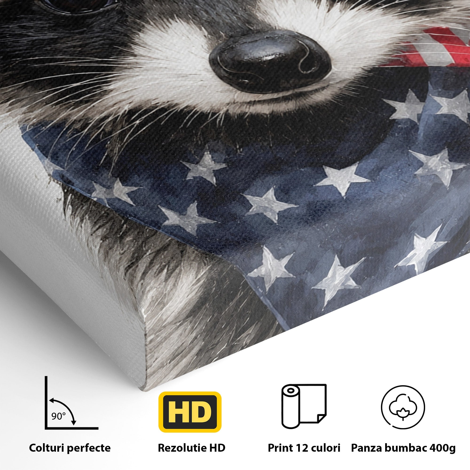Tablou Canvas Premium LuxCanva® M1571, Raton Patriotic, Raton, Animale, Portret, Stele, Living, Birou, Culori Vibrante