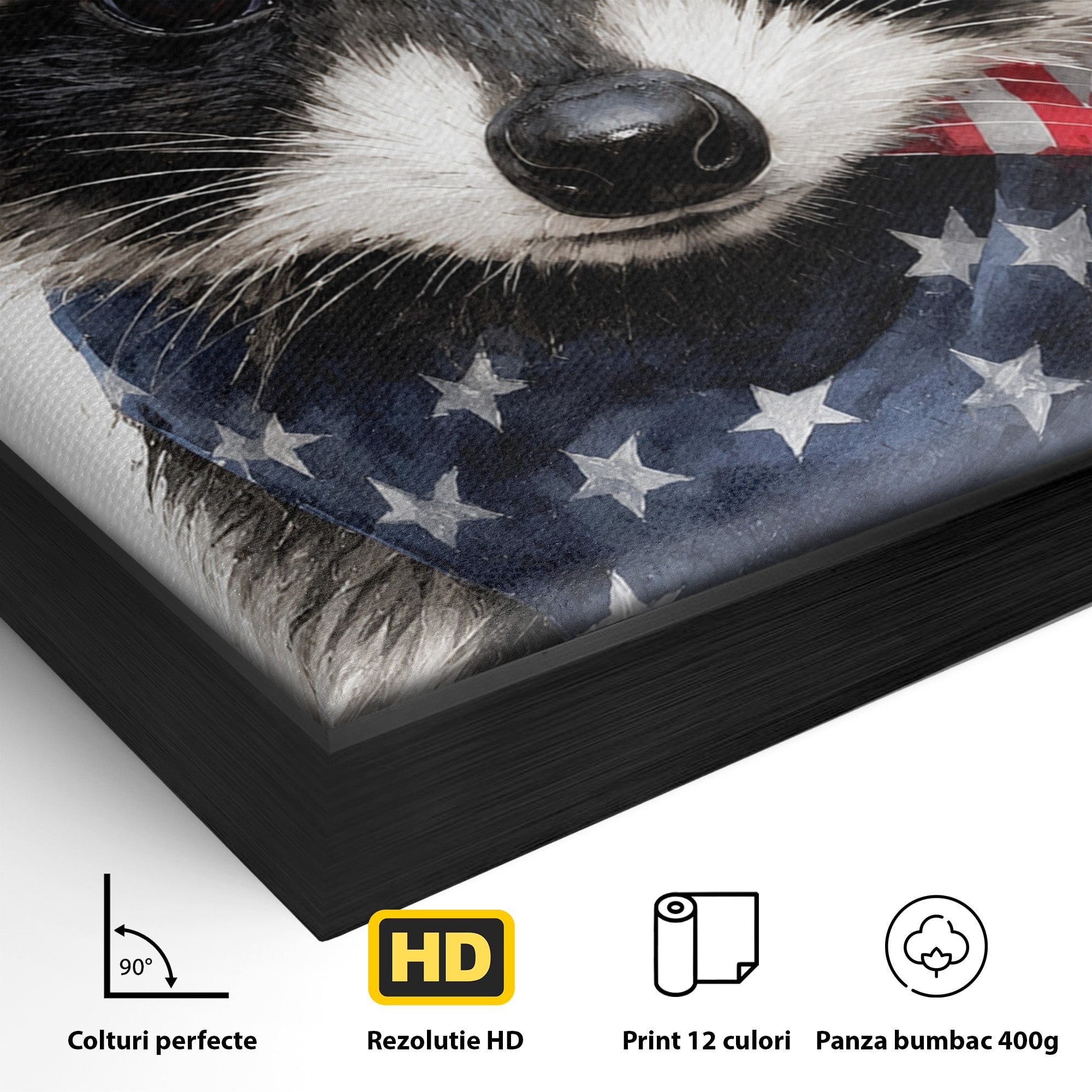 Tablou Canvas Premium LuxCanva® M1571, Raton Patriotic, Raton, Animale, Portret, Stele, Living, Birou, Culori Vibrante