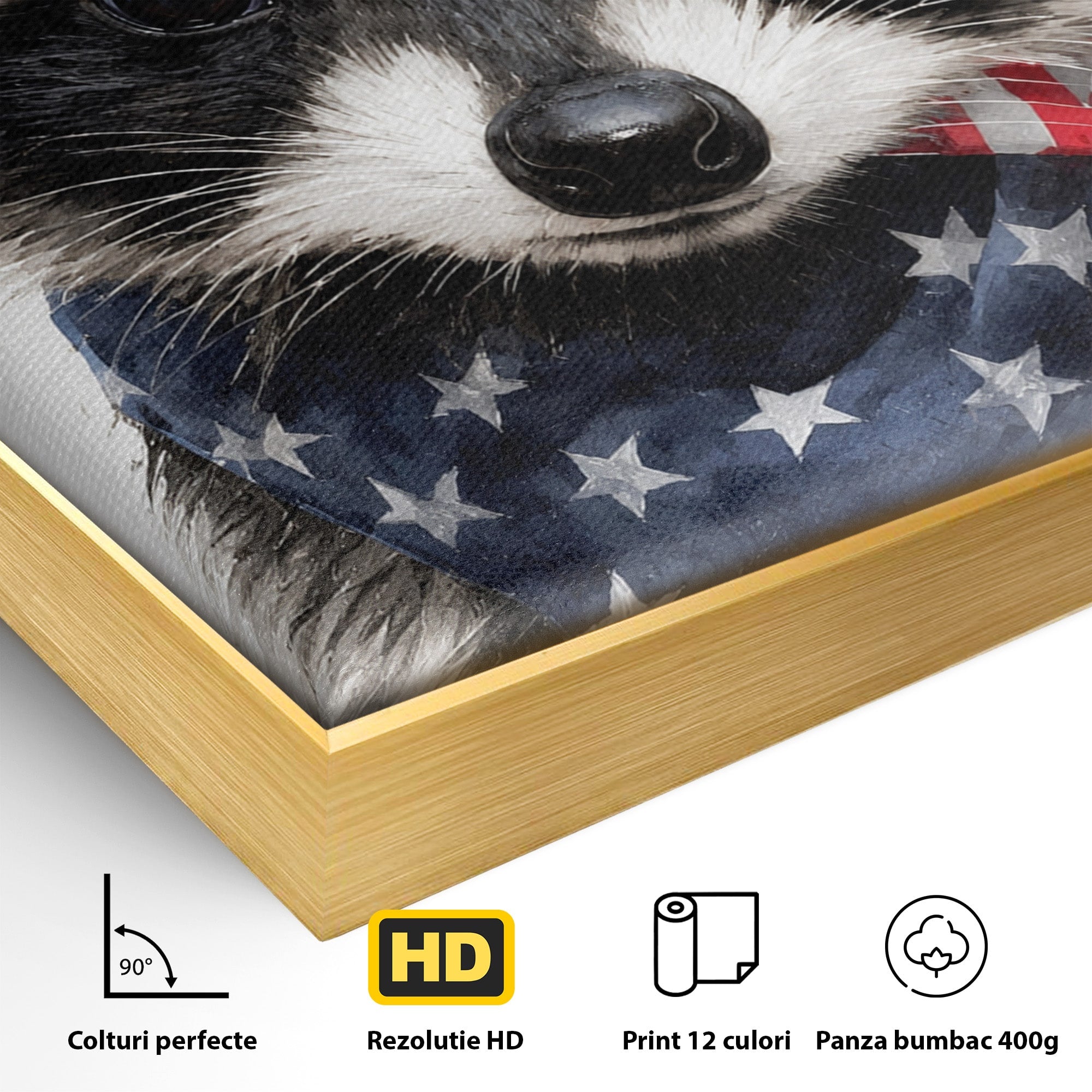 Tablou Canvas Premium LuxCanva® M1571, Raton Patriotic, Raton, Animale, Portret, Stele, Living, Birou, Culori Vibrante