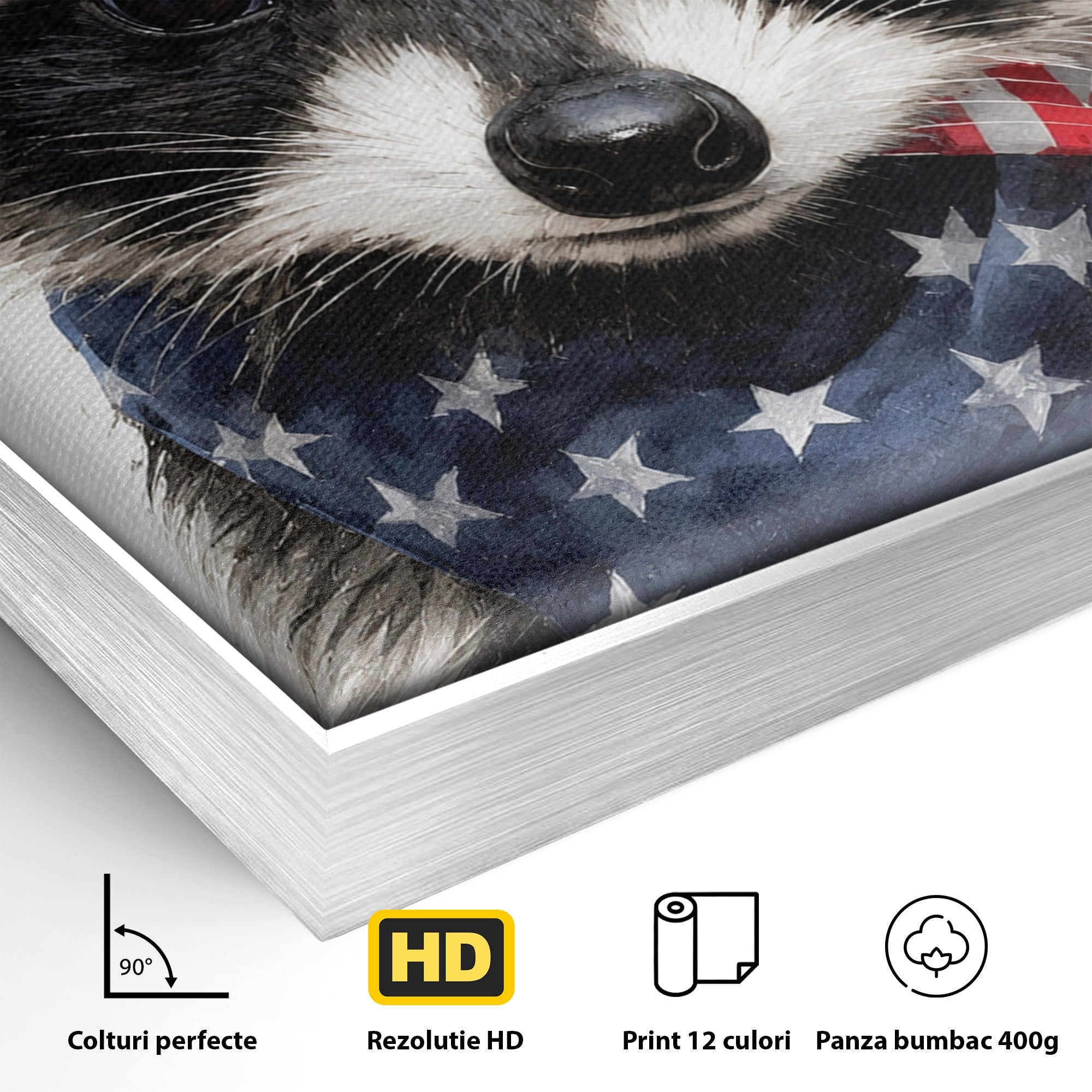 Tablou Canvas Premium LuxCanva® M1571, Raton Patriotic, Raton, Animale, Portret, Stele, Living, Birou, Culori Vibrante