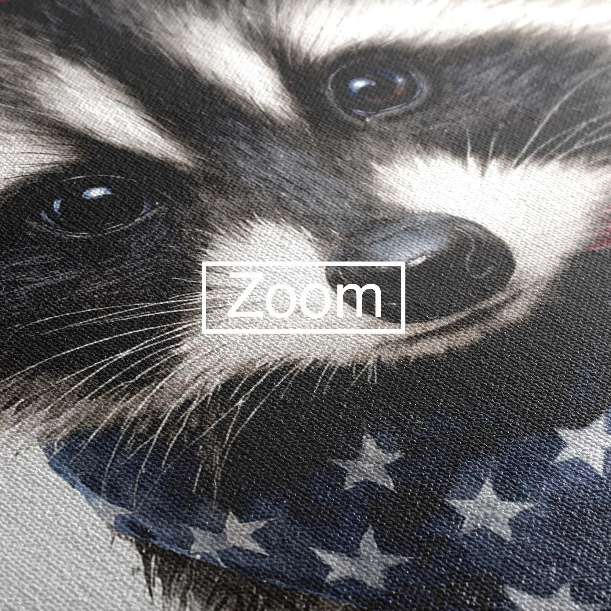 Tablou Canvas Premium LuxCanva® M1571, Raton Patriotic, Raton, Animale, Portret, Stele, Living, Birou, Culori Vibrante
