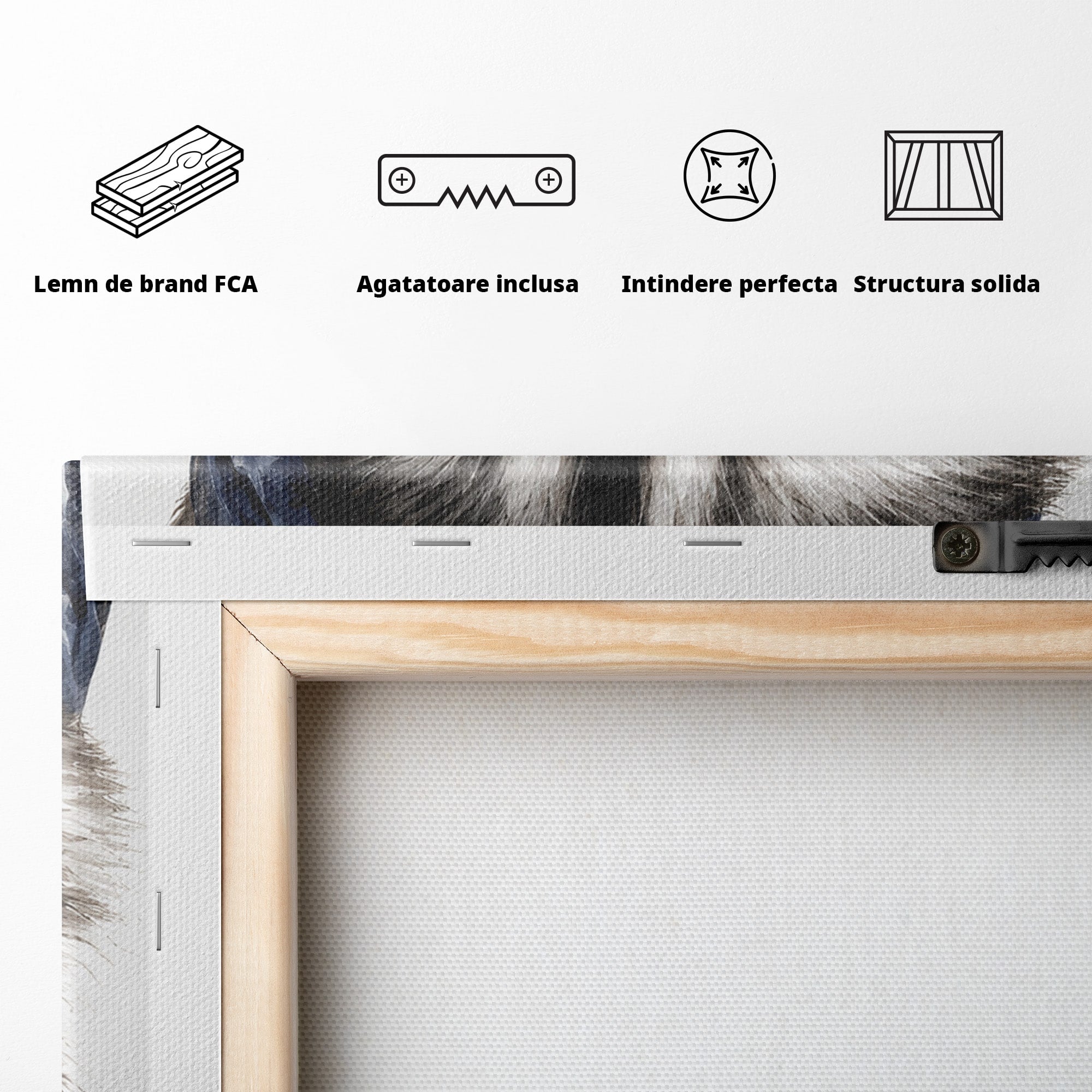 Tablou Canvas Premium LuxCanva® M1571, Raton Patriotic, Raton, Animale, Portret, Stele, Living, Birou, Culori Vibrante