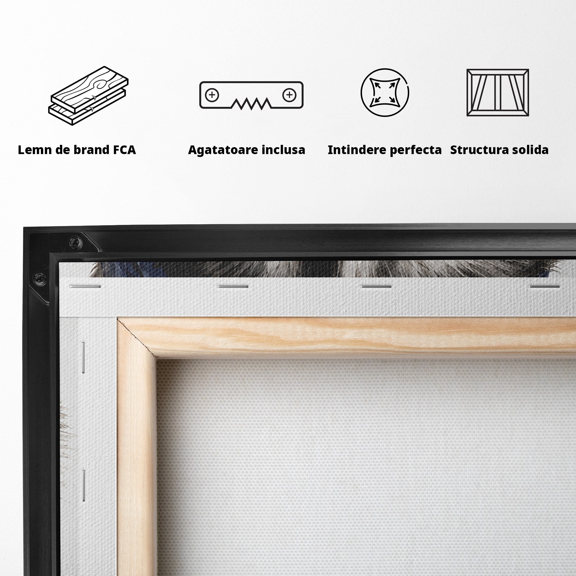 Tablou Canvas Premium LuxCanva® M1571, Raton Patriotic, Raton, Animale, Portret, Stele, Living, Birou, Culori Vibrante