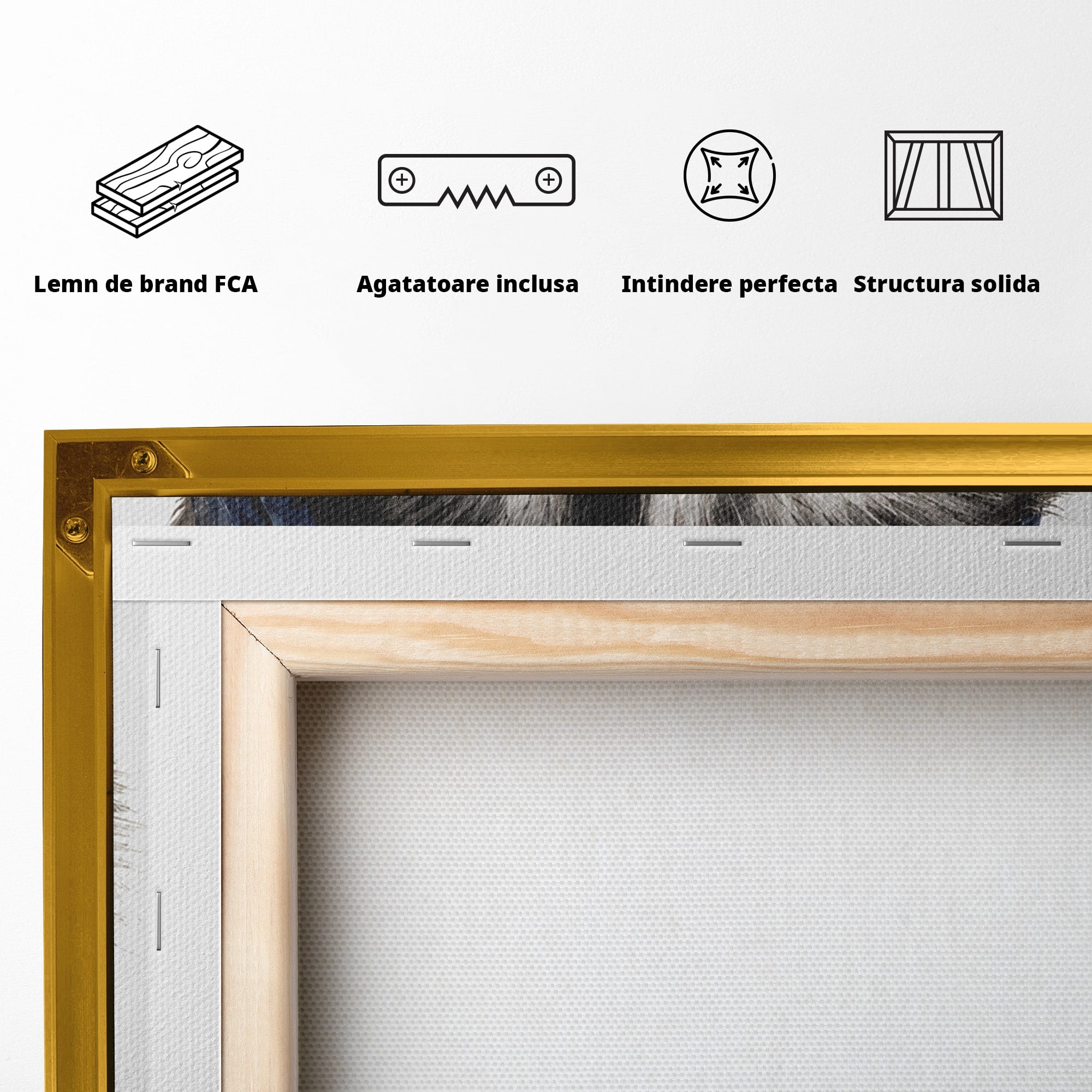 Tablou Canvas Premium LuxCanva® M1571, Raton Patriotic, Raton, Animale, Portret, Stele, Living, Birou, Culori Vibrante