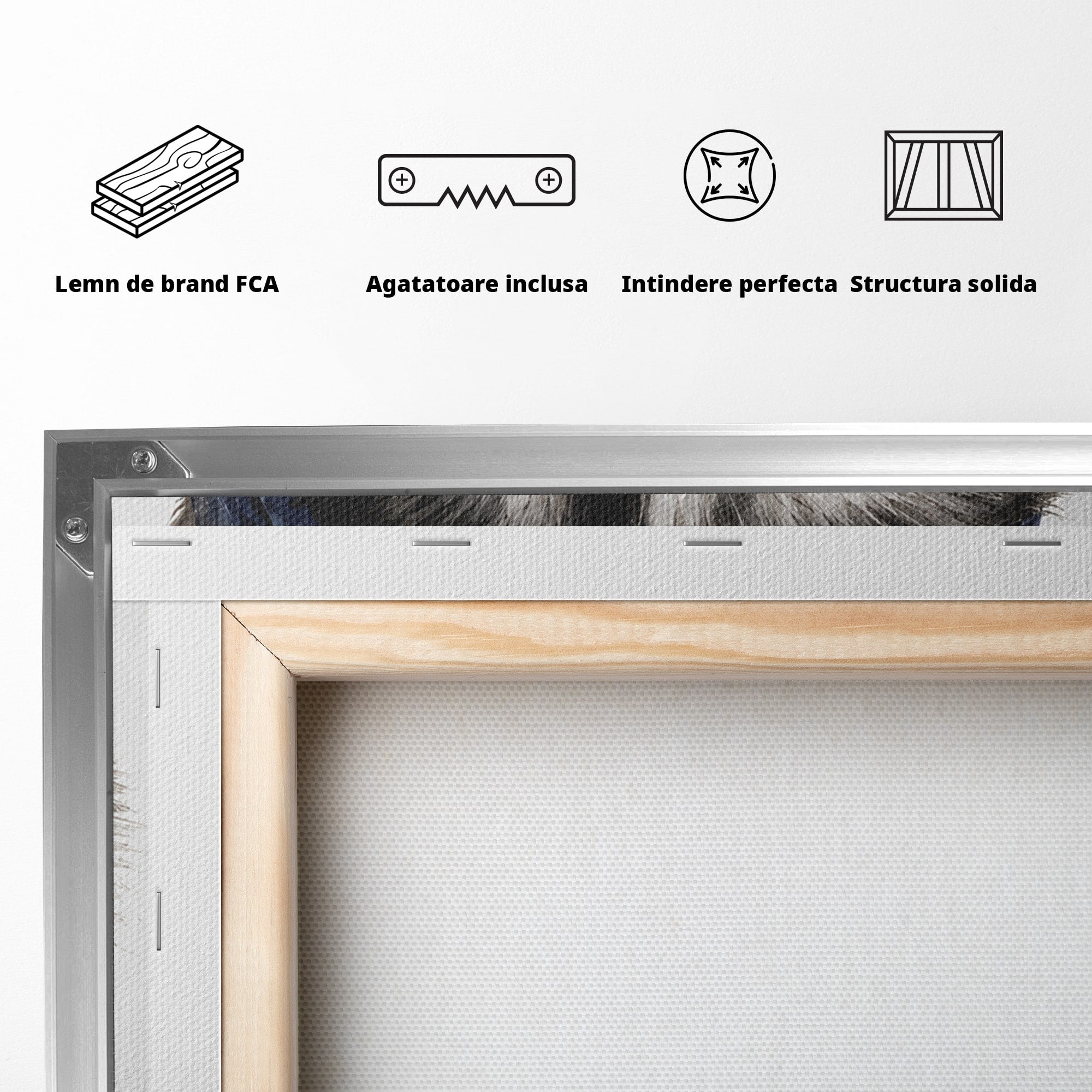 Tablou Canvas Premium LuxCanva® M1571, Raton Patriotic, Raton, Animale, Portret, Stele, Living, Birou, Culori Vibrante
