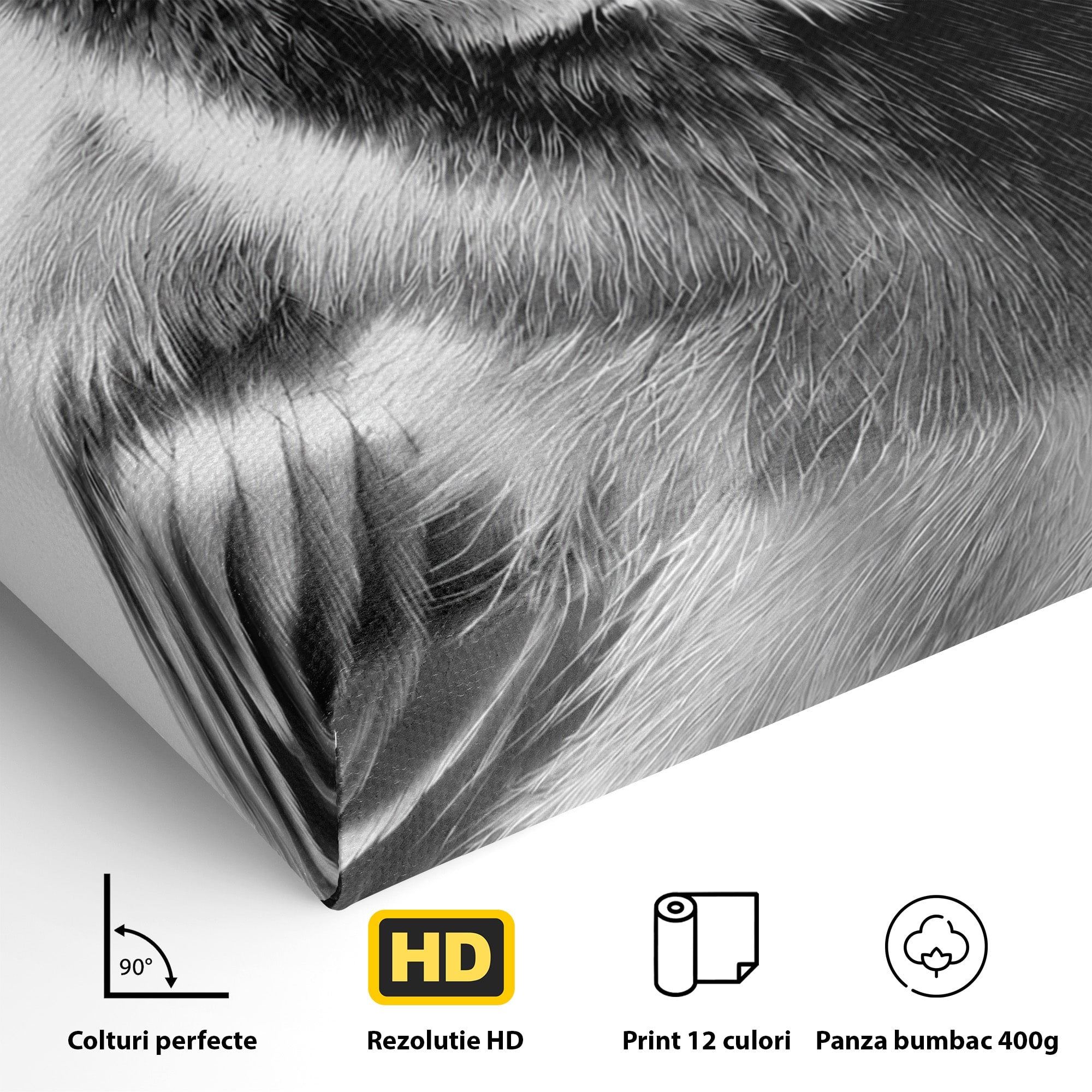 Tablou Canvas Premium LuxCanva® M1574, Portret De Pasare, Pasare, Portret, Arta, Detalii, Dormitor, Culori Vibrante