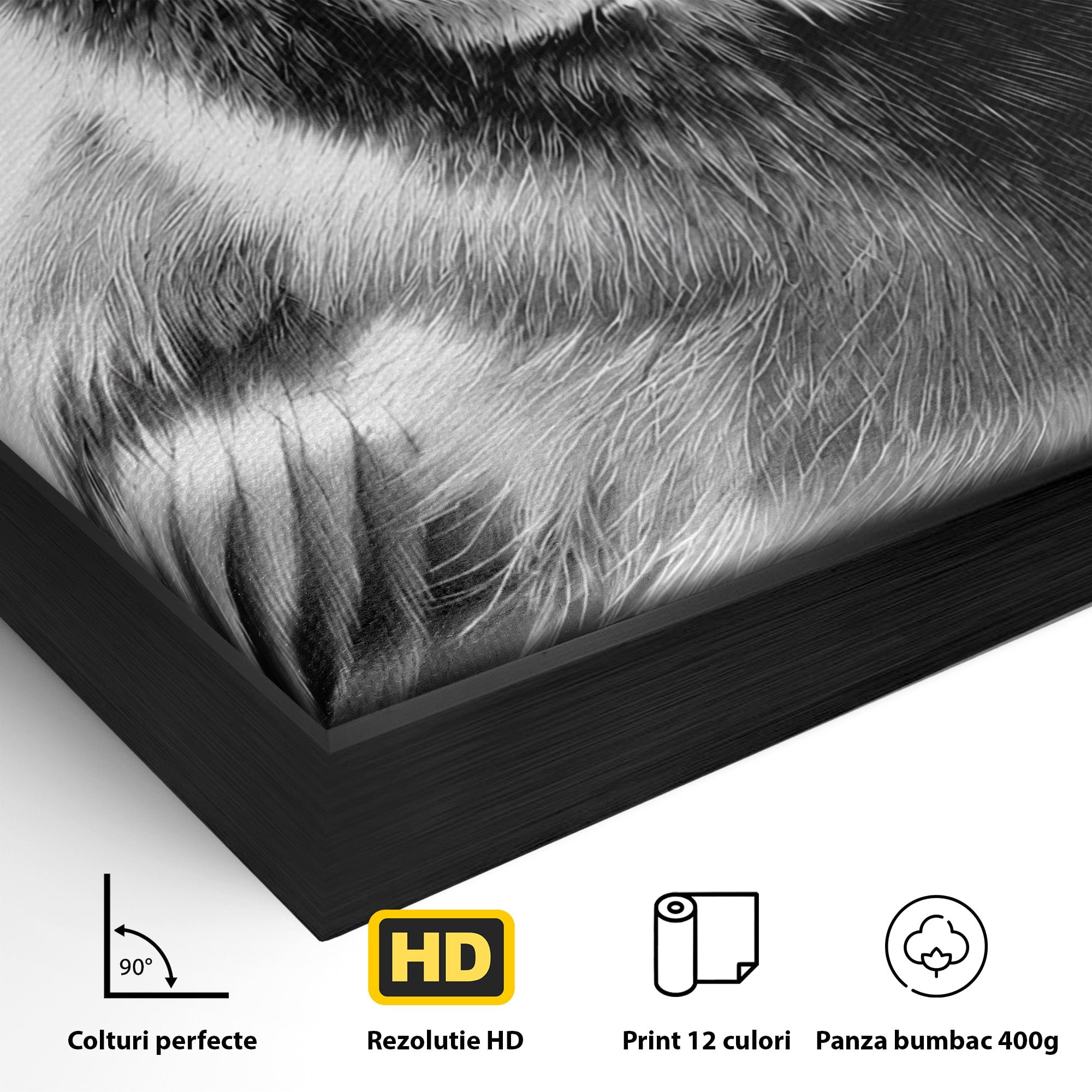 Tablou Canvas Premium LuxCanva® M1574, Portret De Pasare, Pasare, Portret, Arta, Detalii, Dormitor, Culori Vibrante