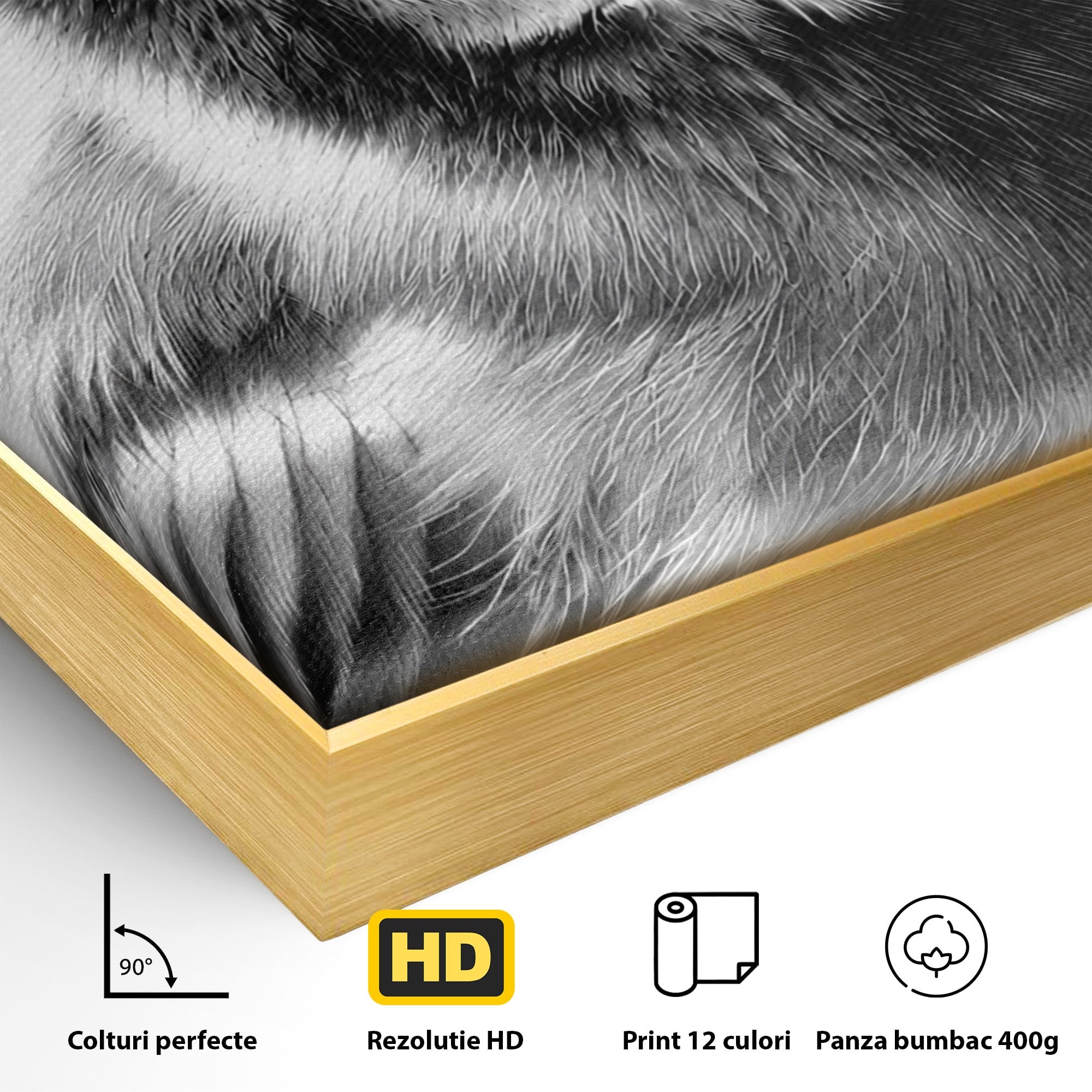 Tablou Canvas Premium LuxCanva® M1574, Portret De Pasare, Pasare, Portret, Arta, Detalii, Dormitor, Culori Vibrante