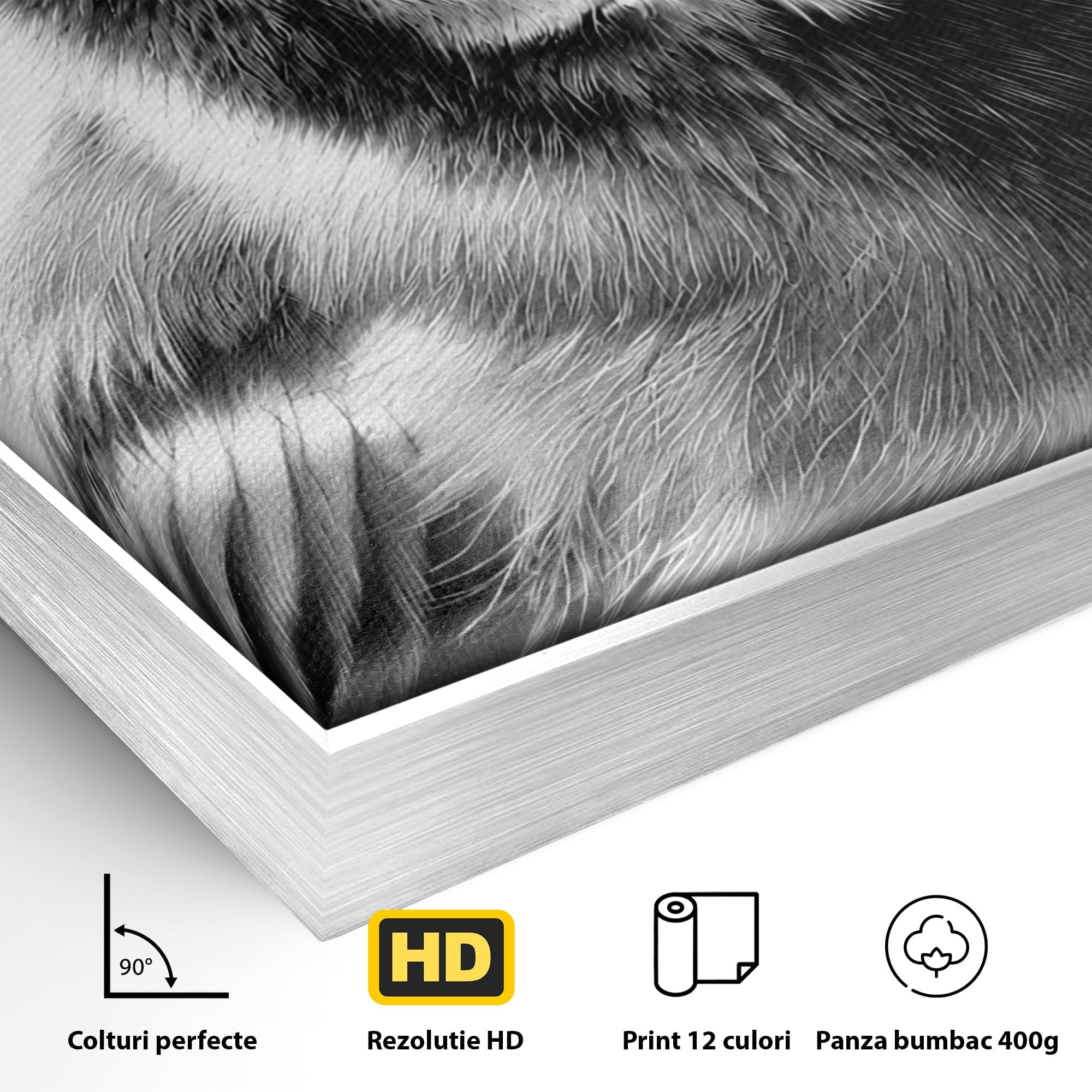 Tablou Canvas Premium LuxCanva® M1574, Portret De Pasare, Pasare, Portret, Arta, Detalii, Dormitor, Culori Vibrante