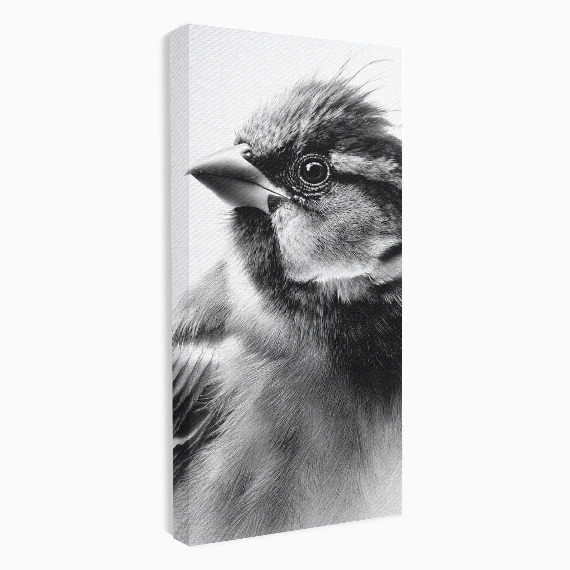 Tablou Canvas Premium LuxCanva® M1574, Portret De Pasare, Pasare, Portret, Arta, Detalii, Dormitor, Culori Vibrante