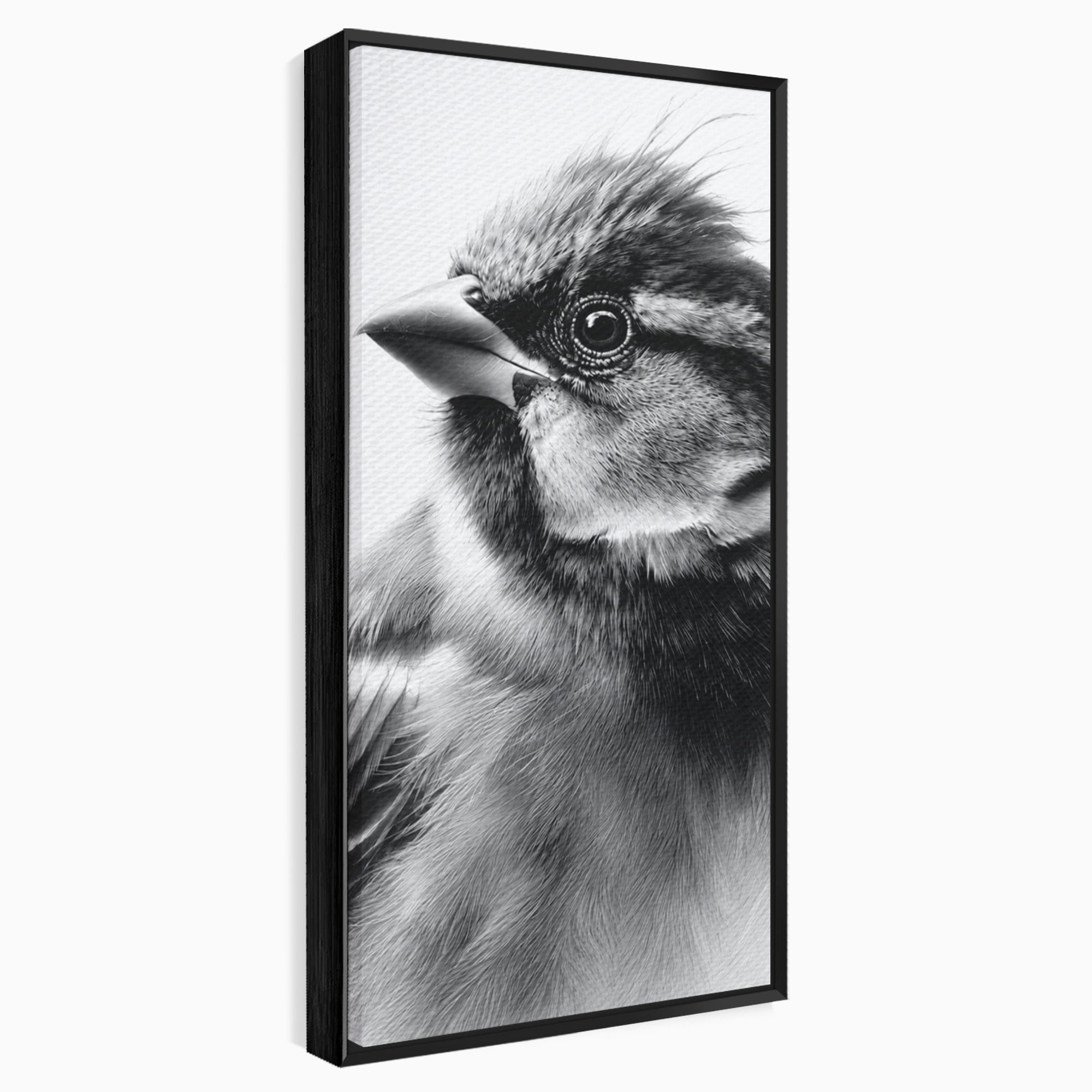 Tablou Canvas Premium LuxCanva® M1574, Portret De Pasare, Pasare, Portret, Arta, Detalii, Dormitor, Culori Vibrante