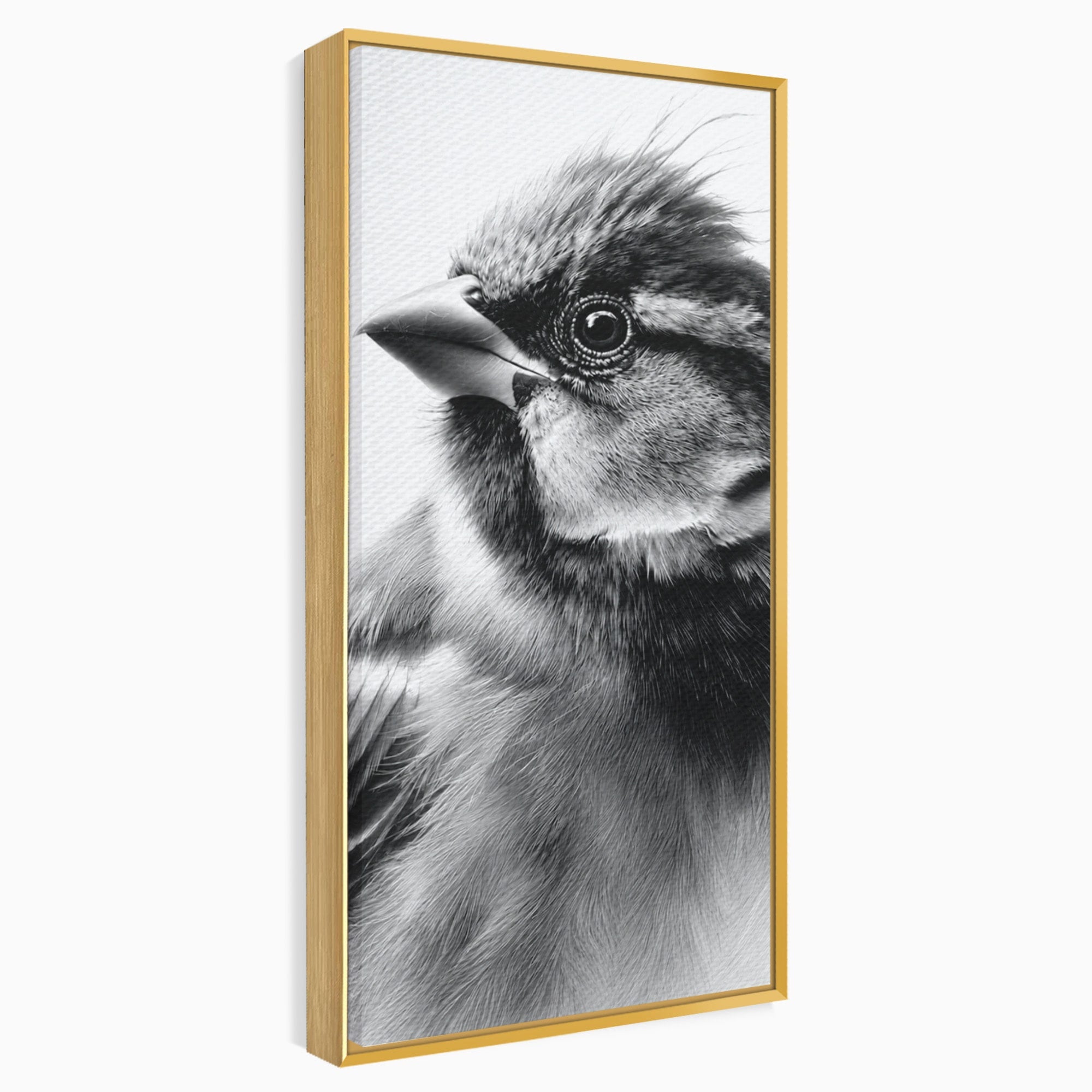 Tablou Canvas Premium LuxCanva® M1574, Portret De Pasare, Pasare, Portret, Arta, Detalii, Dormitor, Culori Vibrante
