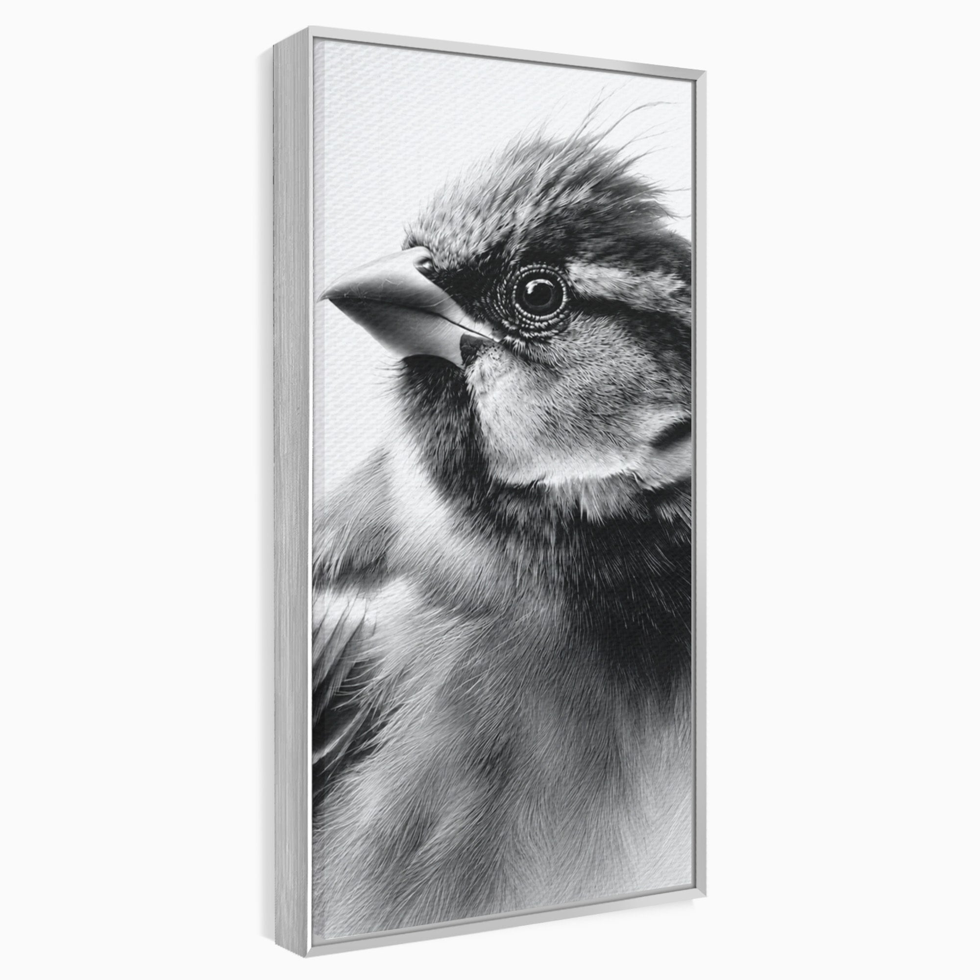 Tablou Canvas Premium LuxCanva® M1574, Portret De Pasare, Pasare, Portret, Arta, Detalii, Dormitor, Culori Vibrante
