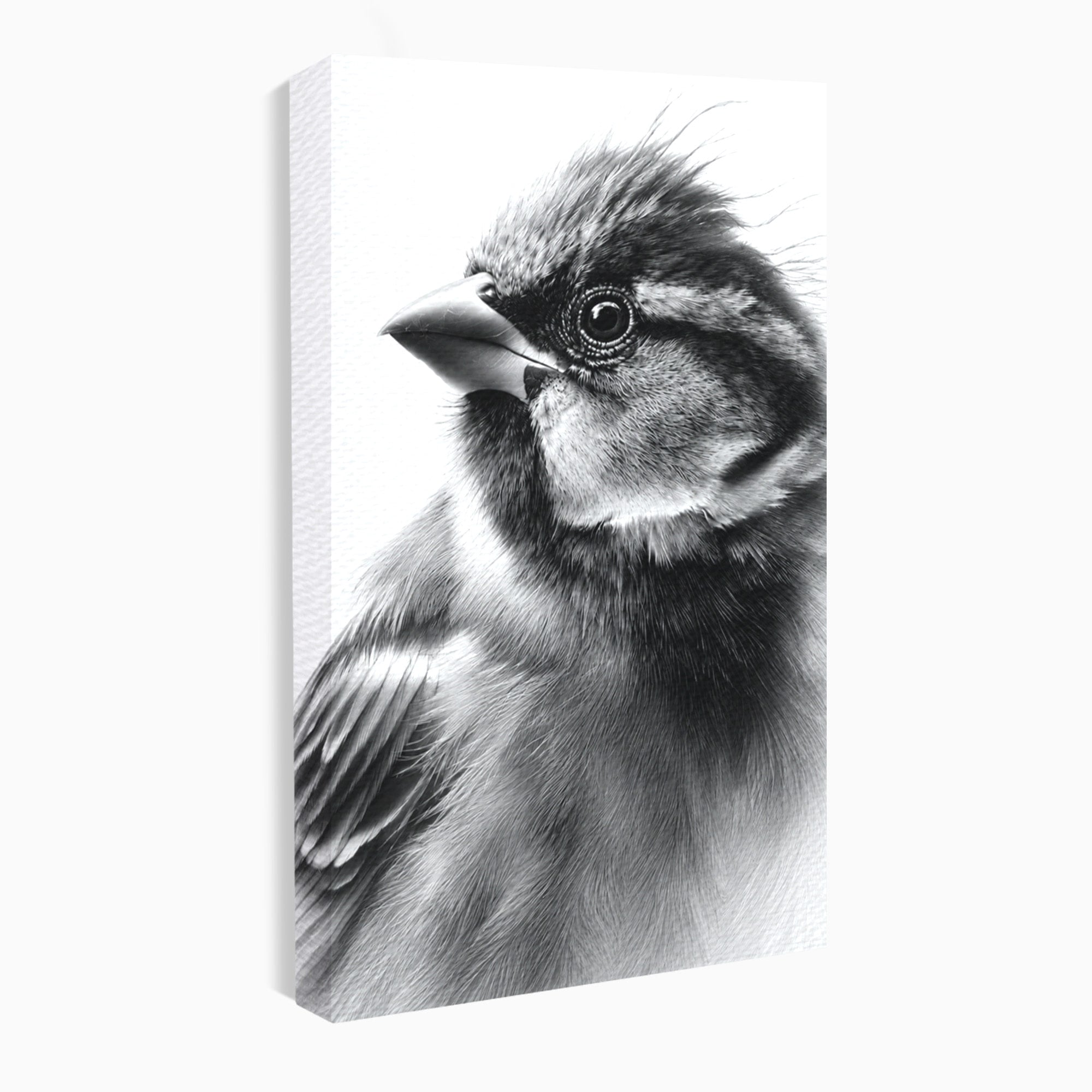 Tablou Canvas Premium LuxCanva® M1574, Portret De Pasare, Pasare, Portret, Arta, Detalii, Dormitor, Culori Vibrante