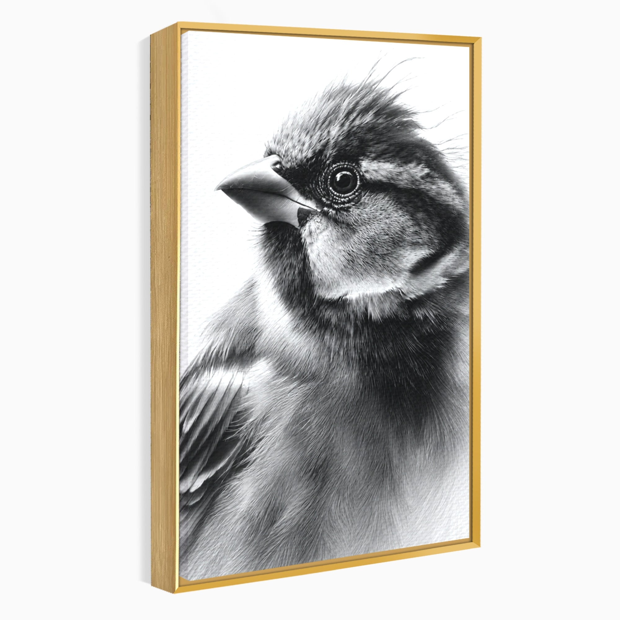 Tablou Canvas Premium LuxCanva® M1574, Portret De Pasare, Pasare, Portret, Arta, Detalii, Dormitor, Culori Vibrante